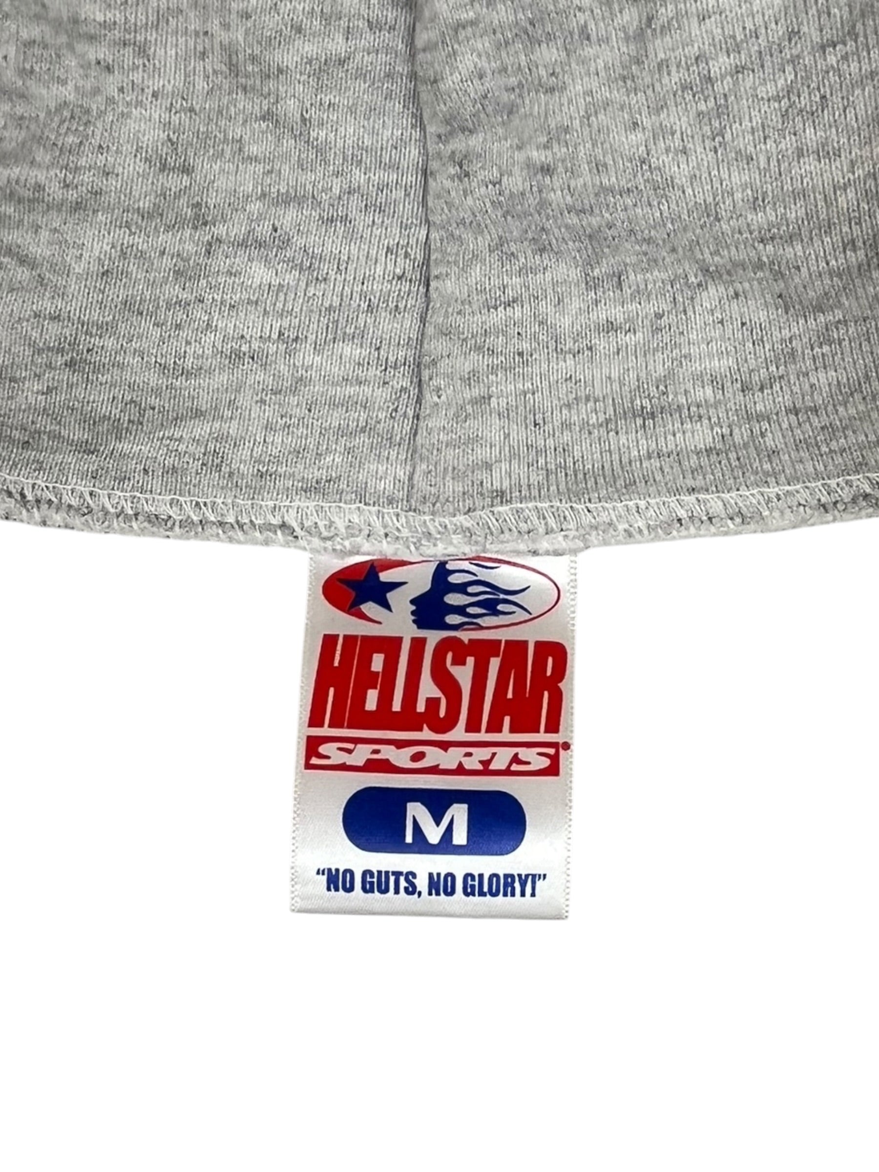 HELLSTAR/Hoodie/M/Graphic/Cotton/GRY/NO GUTS NO GLORY view 3
