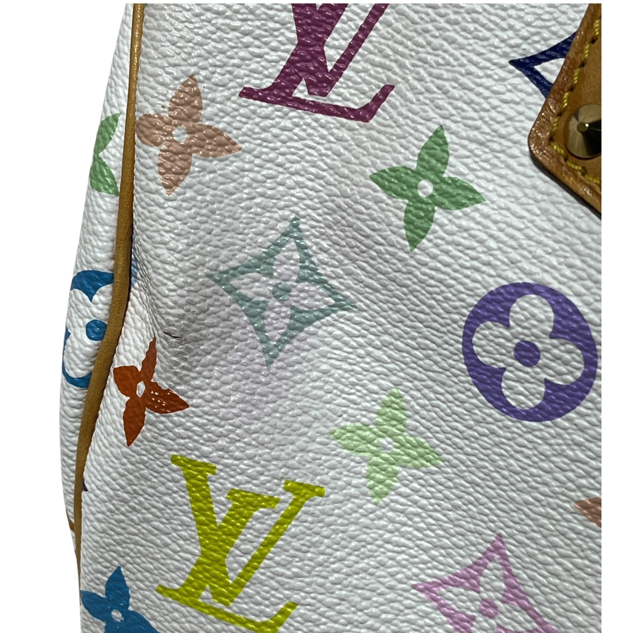 LOUIS VUITTON/Hand Bag/Monogram/MLT/Takashi Murakami Speedy 30 view 8