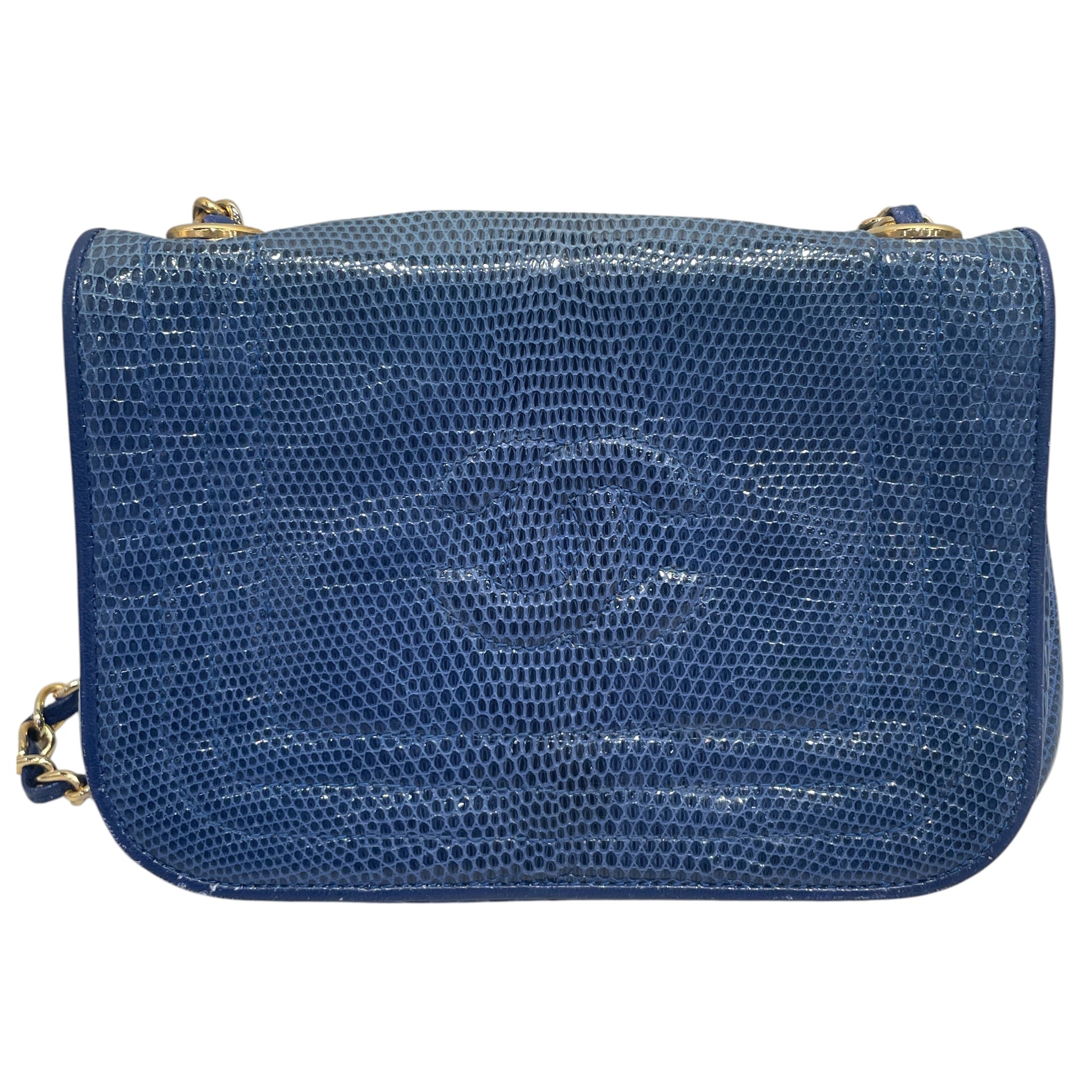 CHANEL/Cross Body Bag/Acrylic/BLU/lizard flap bag view 4