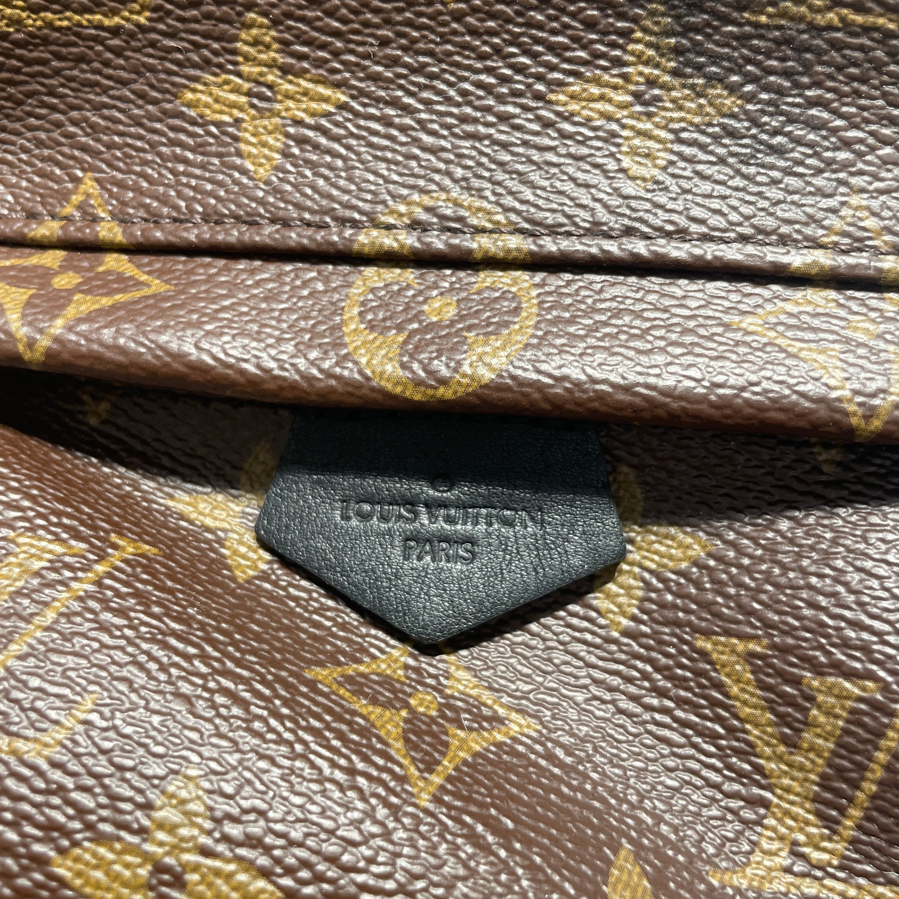 LOUIS VUITTON/Backpack/Monogram/Leather/BRW/PALM SPRINGS MINI view 4