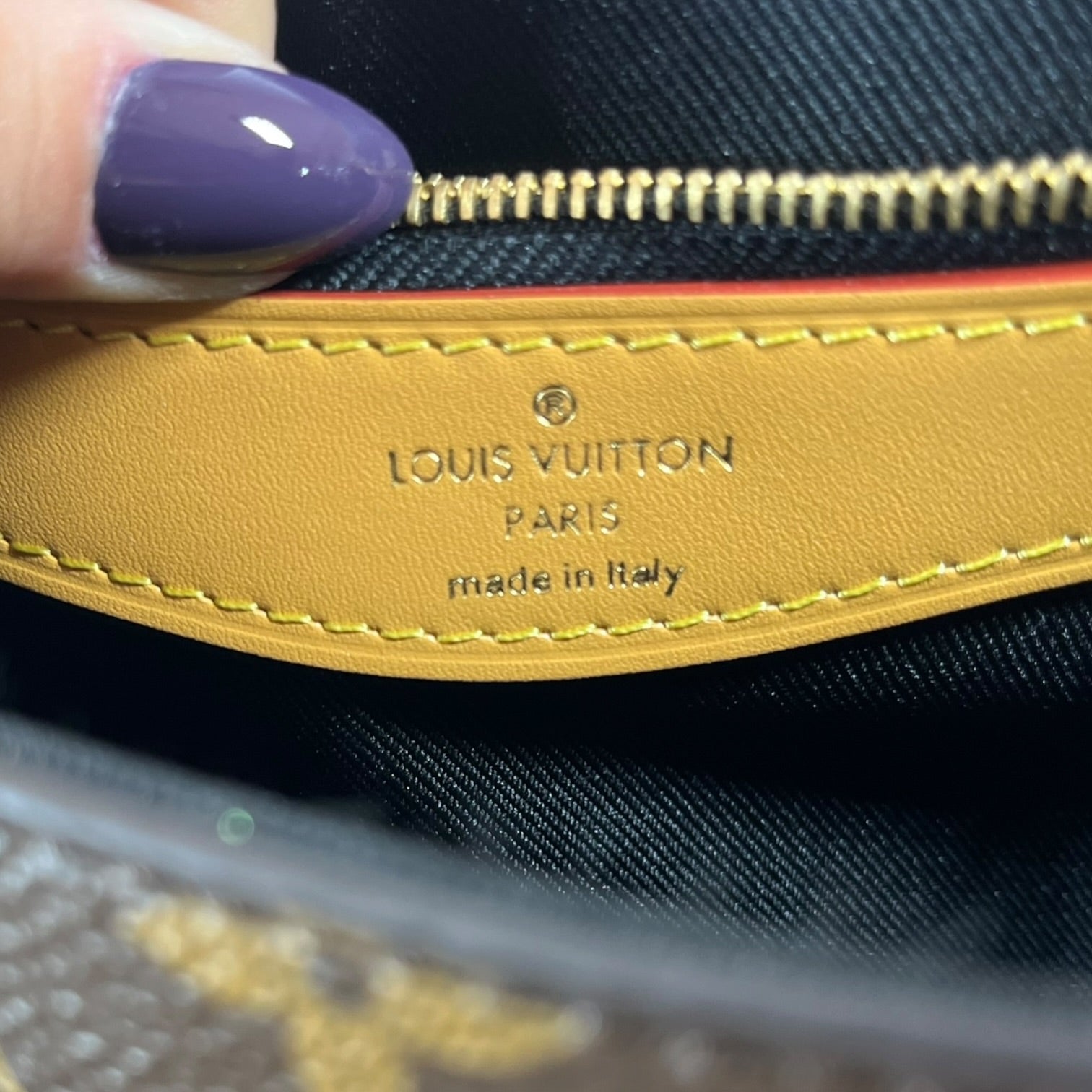 LOUIS VUITTON/Hand Bag/Monogram/Leather/BRW/Diane Shoulder Bag view 4