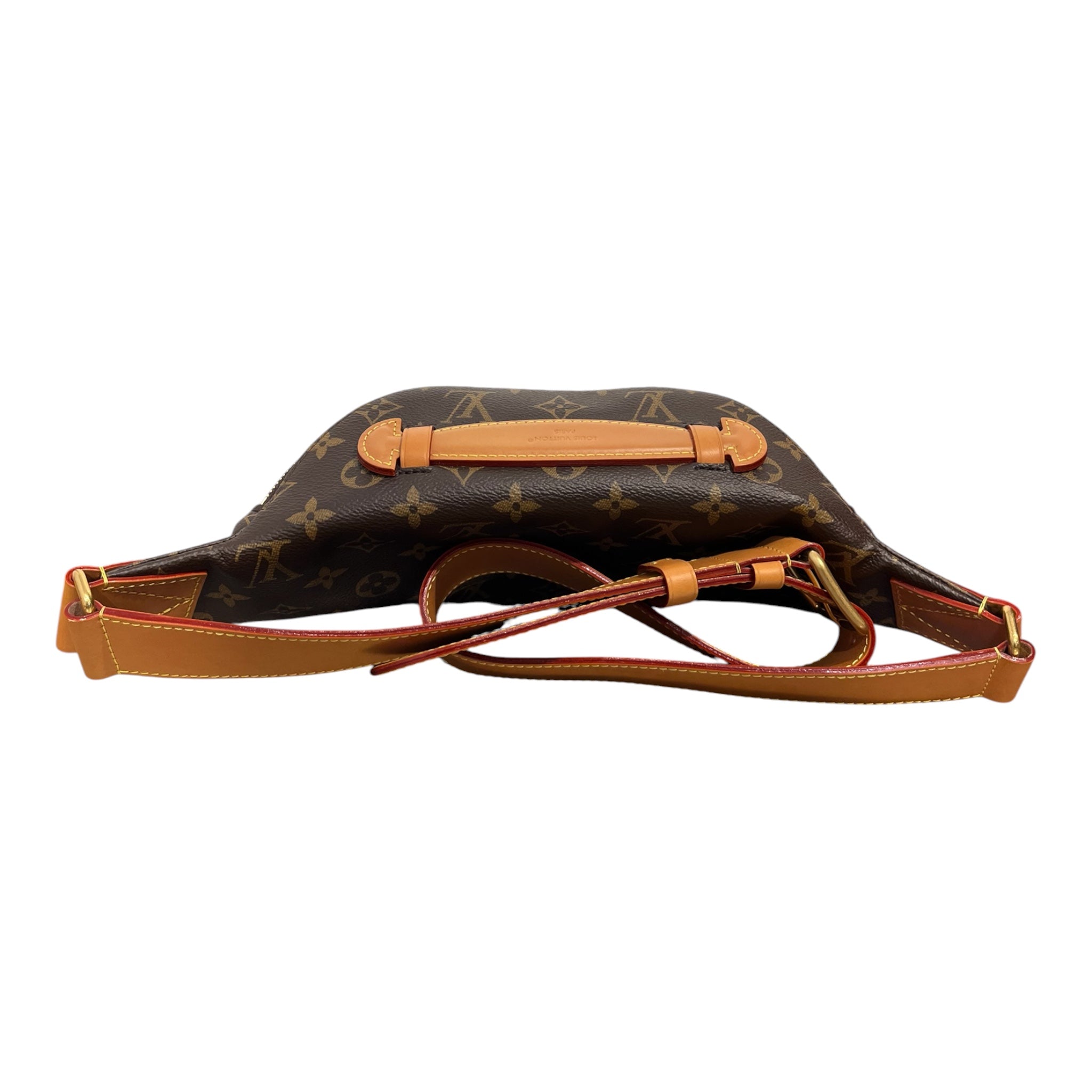 LOUIS VUITTON/Fanny Pack/All Over Print/Leather/BRW/RUSH BUMBAG view 2