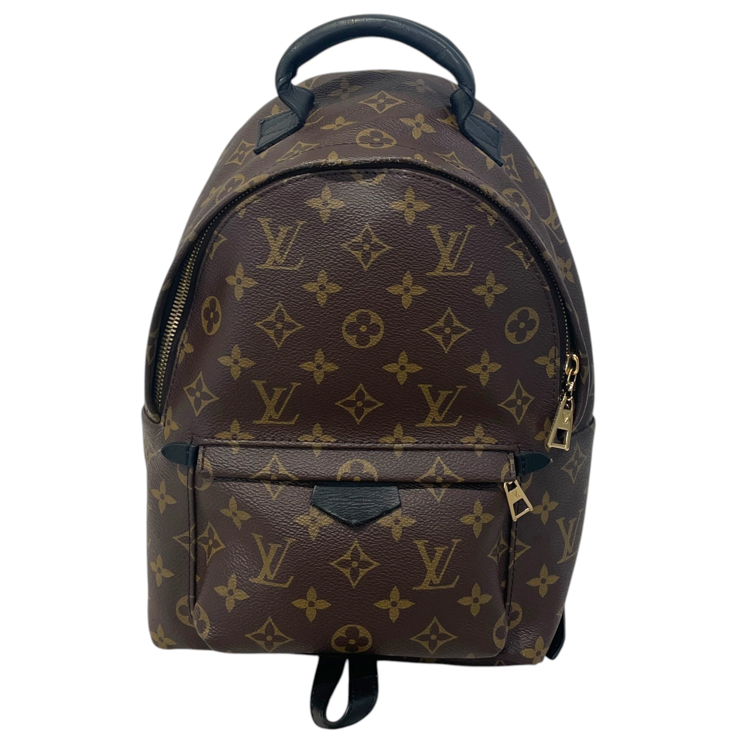 LOUIS VUITTON/Backpack/Monogram/Leather/BRW/Palm Strings PM view 1