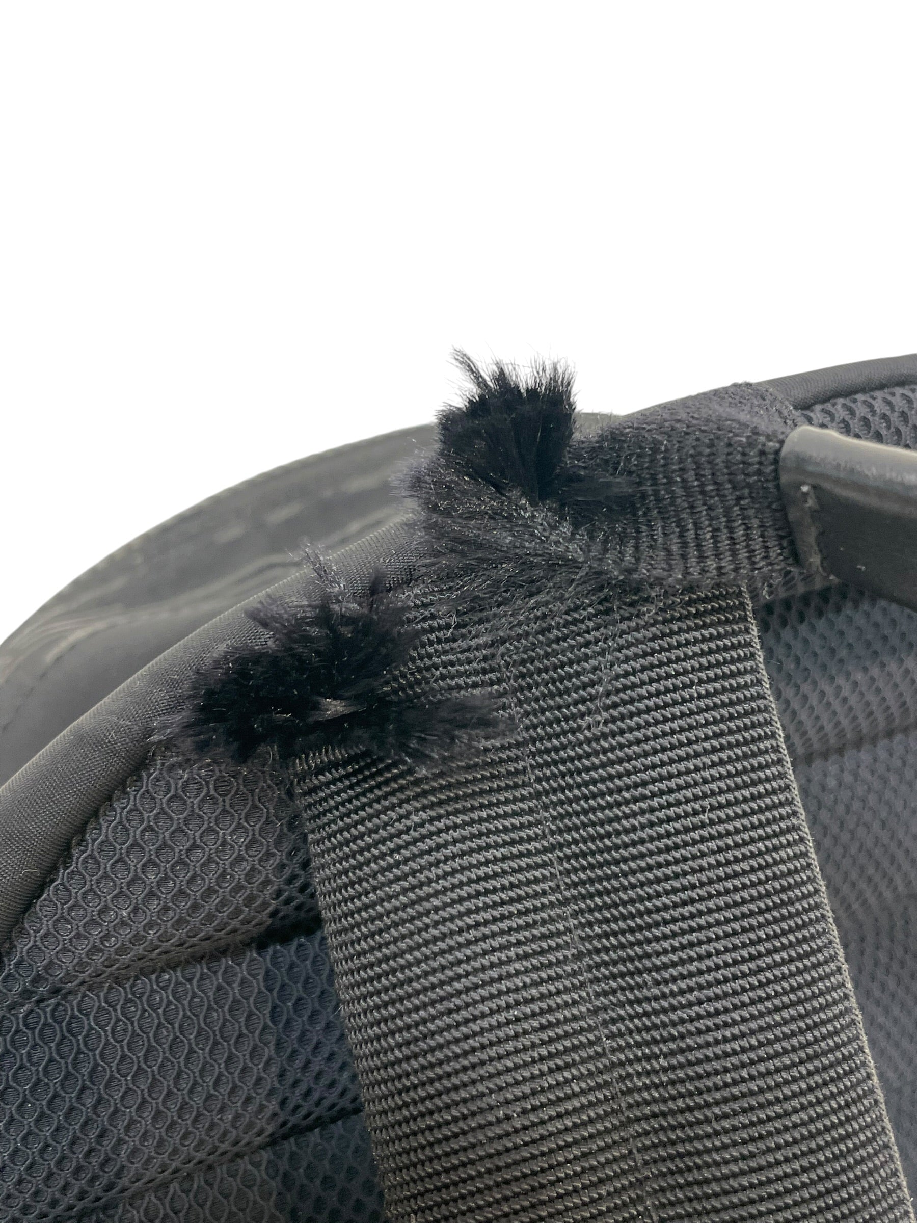Dior HOMME/Backpack/Graphic/Nylon/BLK/francois bard view 3