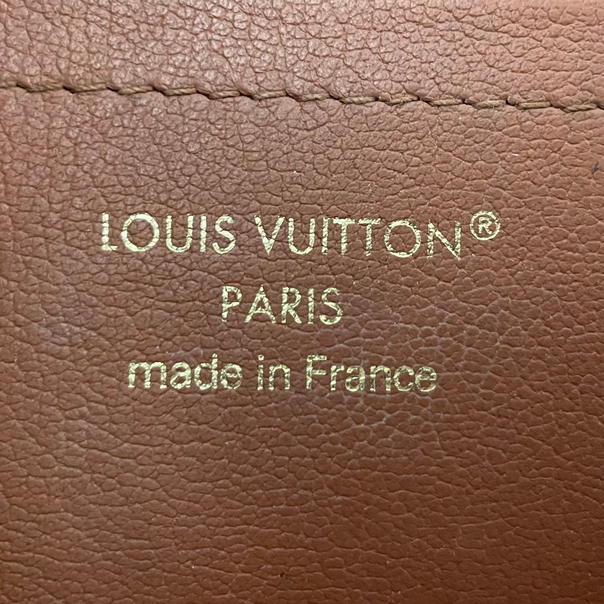 LOUIS VUITTON/Backpack/Monogram/Leather/BRW/damier ebene view 5