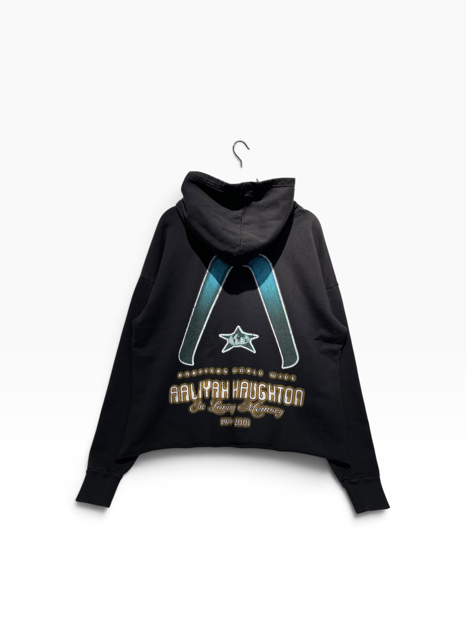BARRIERS/Hoodie/M/Cotton/BLK/AALIYAH LIVE view 2