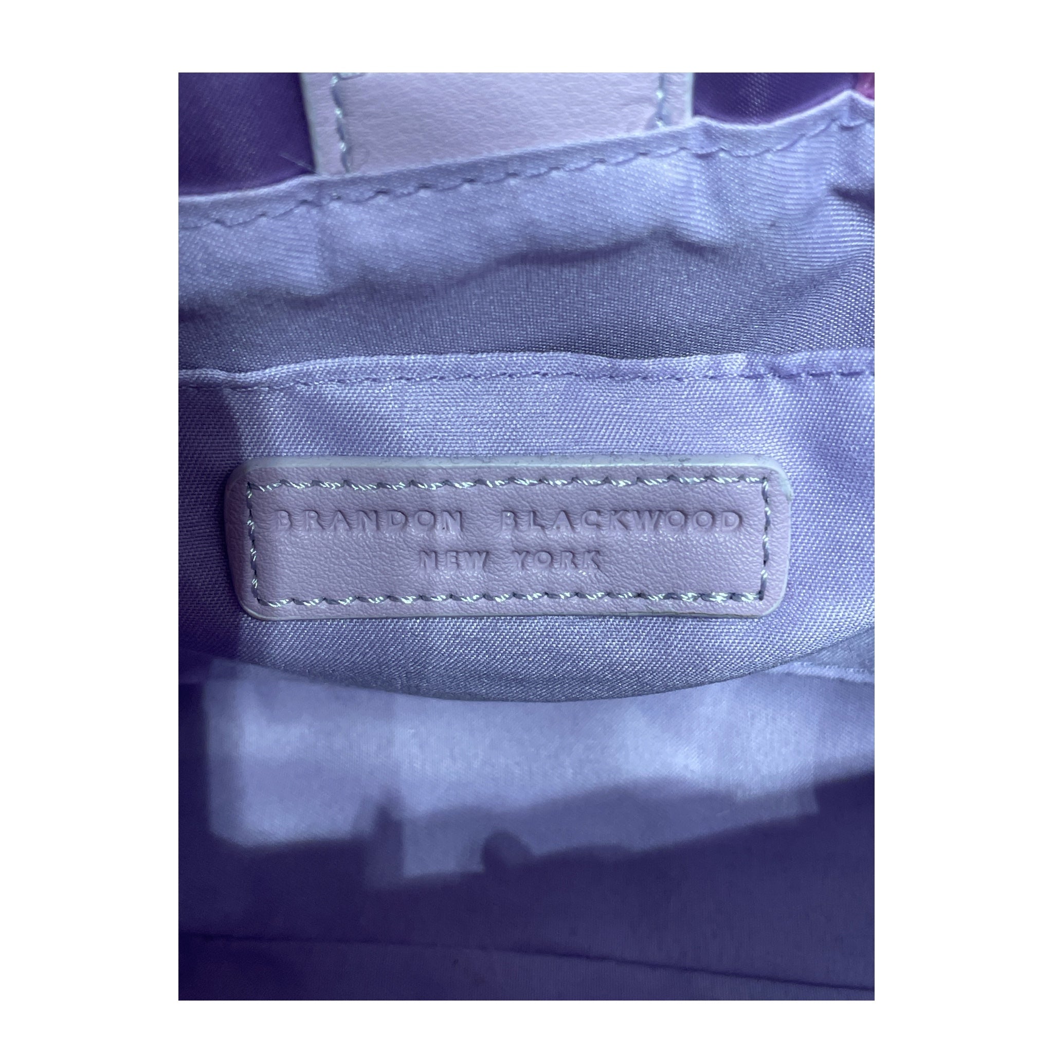 BRANDON BLACKWOOD/Cross Body Bag/XS/PPL/END SYSTEMIC RACISM view 4