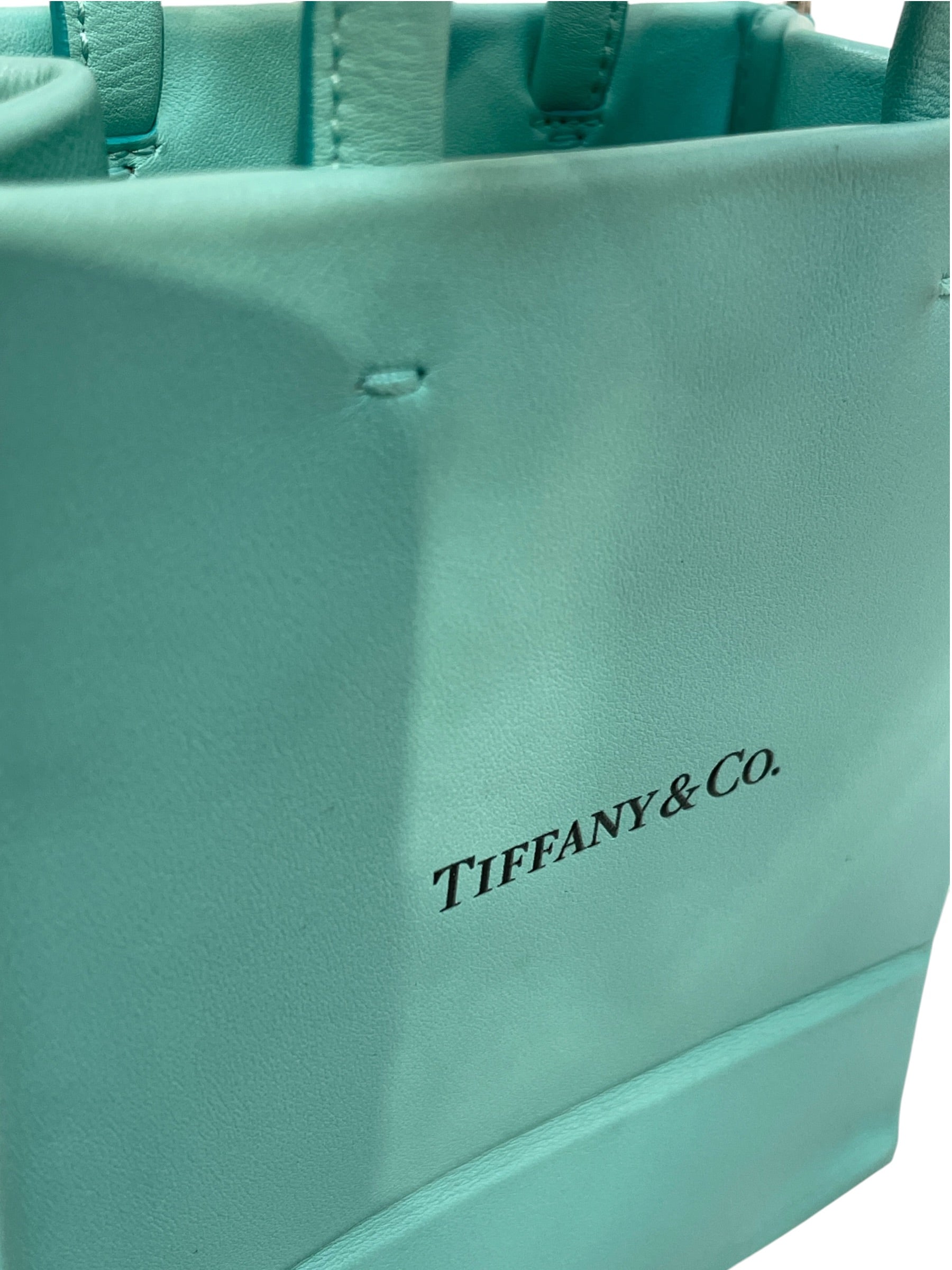 TIFFANY&Co./Cross Body Bag/Leather/Blue/mini view 6