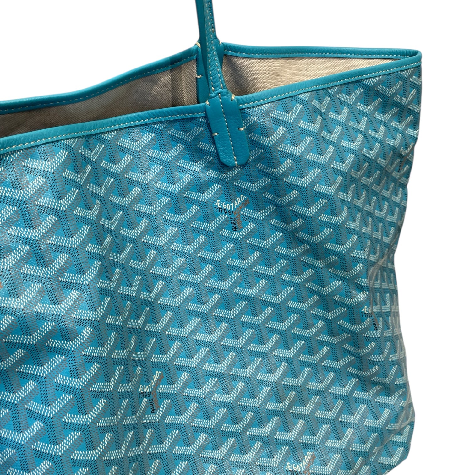 GOYARD/Tote Bag/All Over Print/Leather/BLU/ST. LOUIS PM TURQUOISE view 6