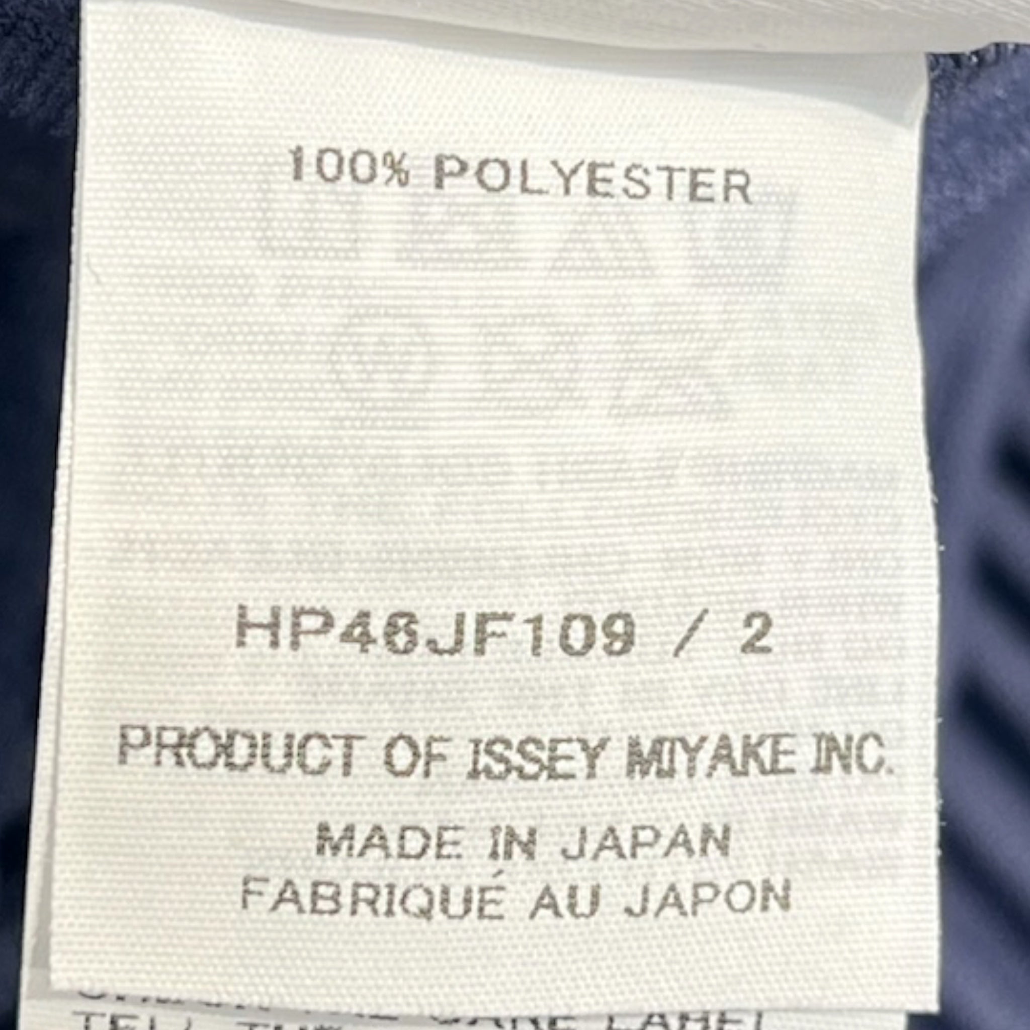ISSEY MIYAKE/Pants/2/Polyester/IDG/pleated view 4