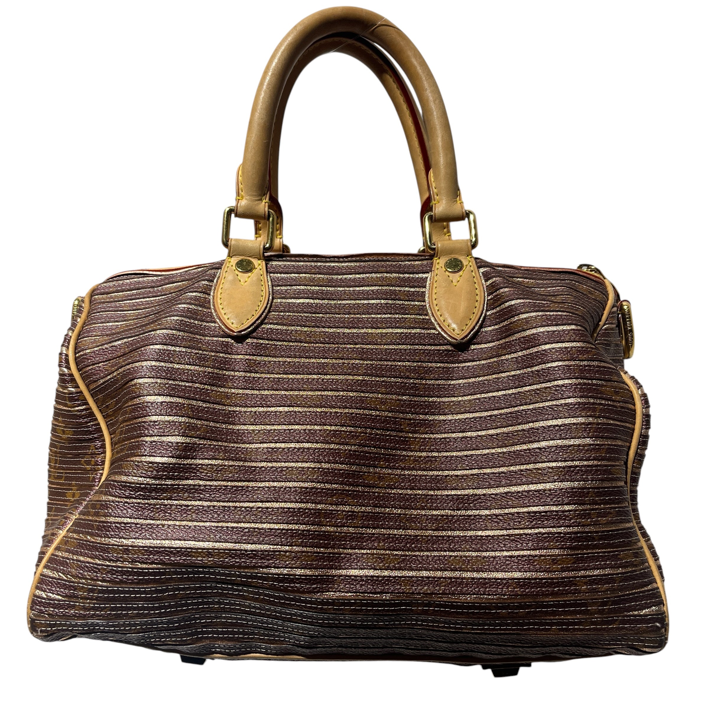LOUIS VUITTON/Hand Bag/Stripe/Leather/BRD/EDEN SPEEDY BANDOULIERE view 1