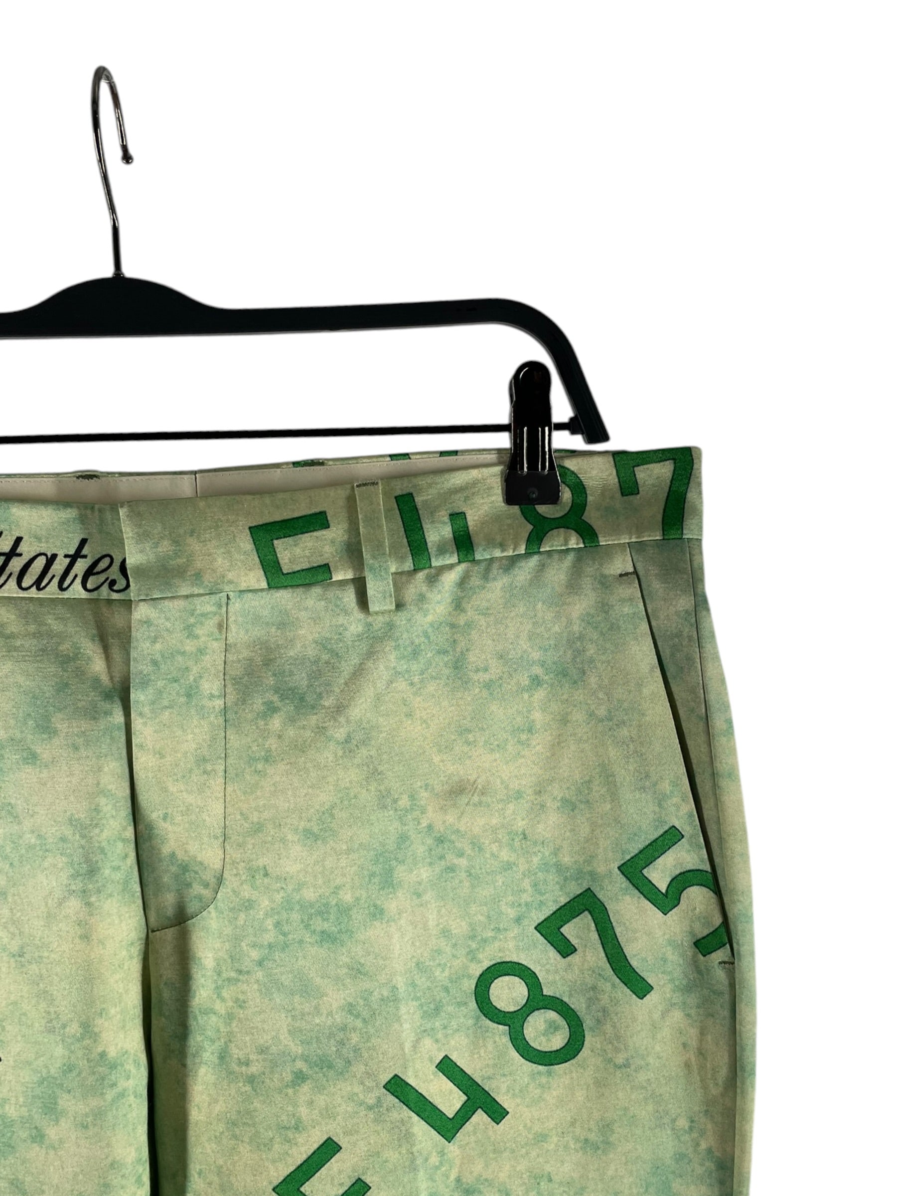 MOSCHINO/Pants/48/Rayon/GRN/All Over Print/232ZRA25047050 MONEY PRINT view 3