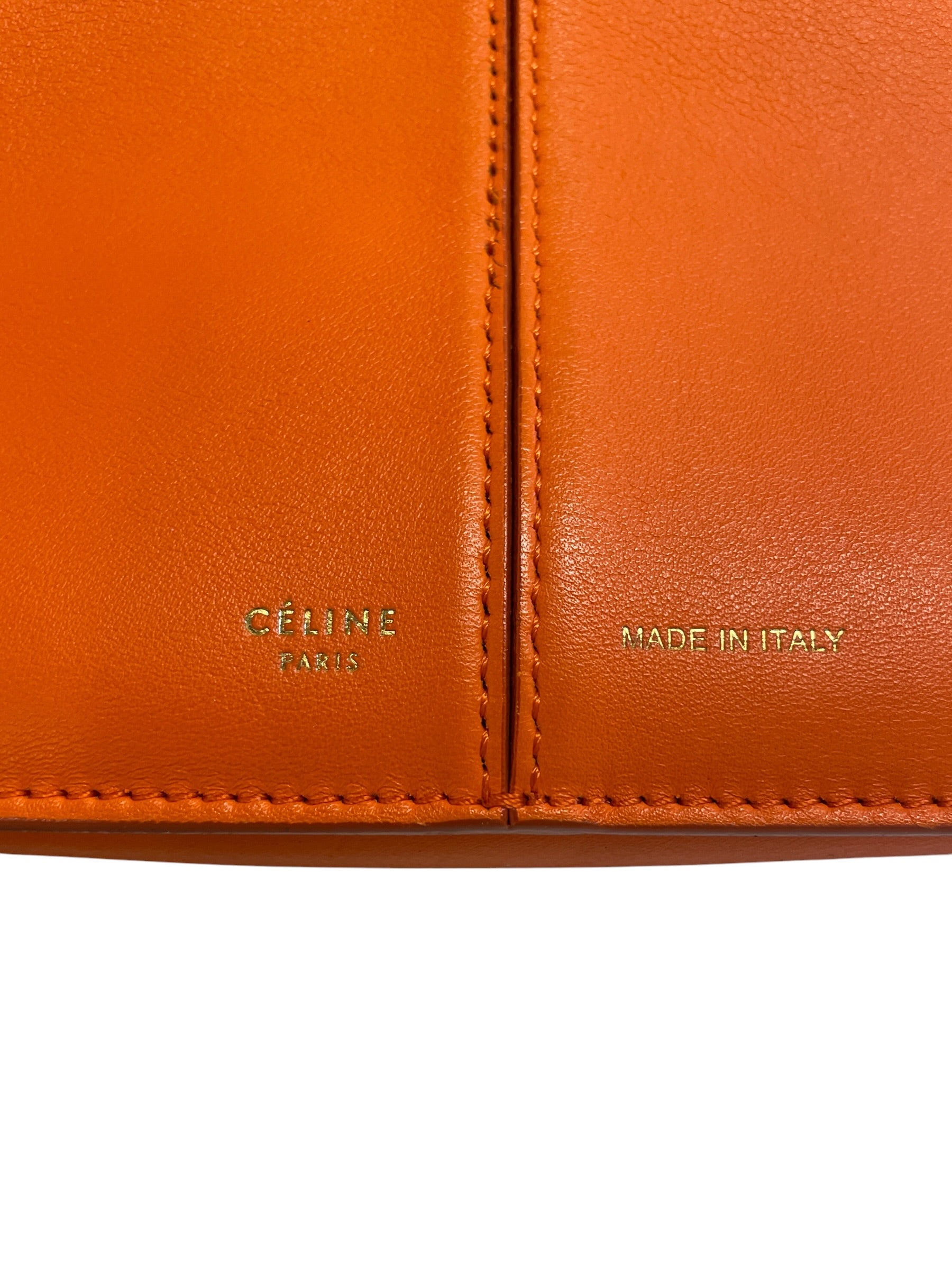CELINE/Pouch/Leather/ORN/cx2gh7c view 5