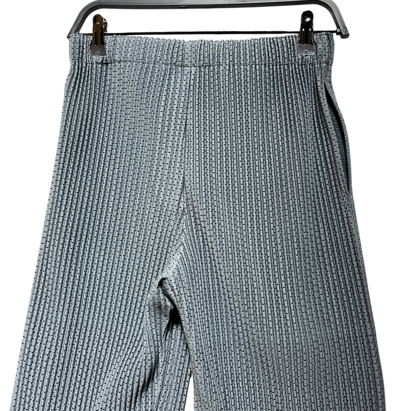 HOMME PLISSE ISSEY MIYAKE/Straight Pants/1/Polyester/GRY/