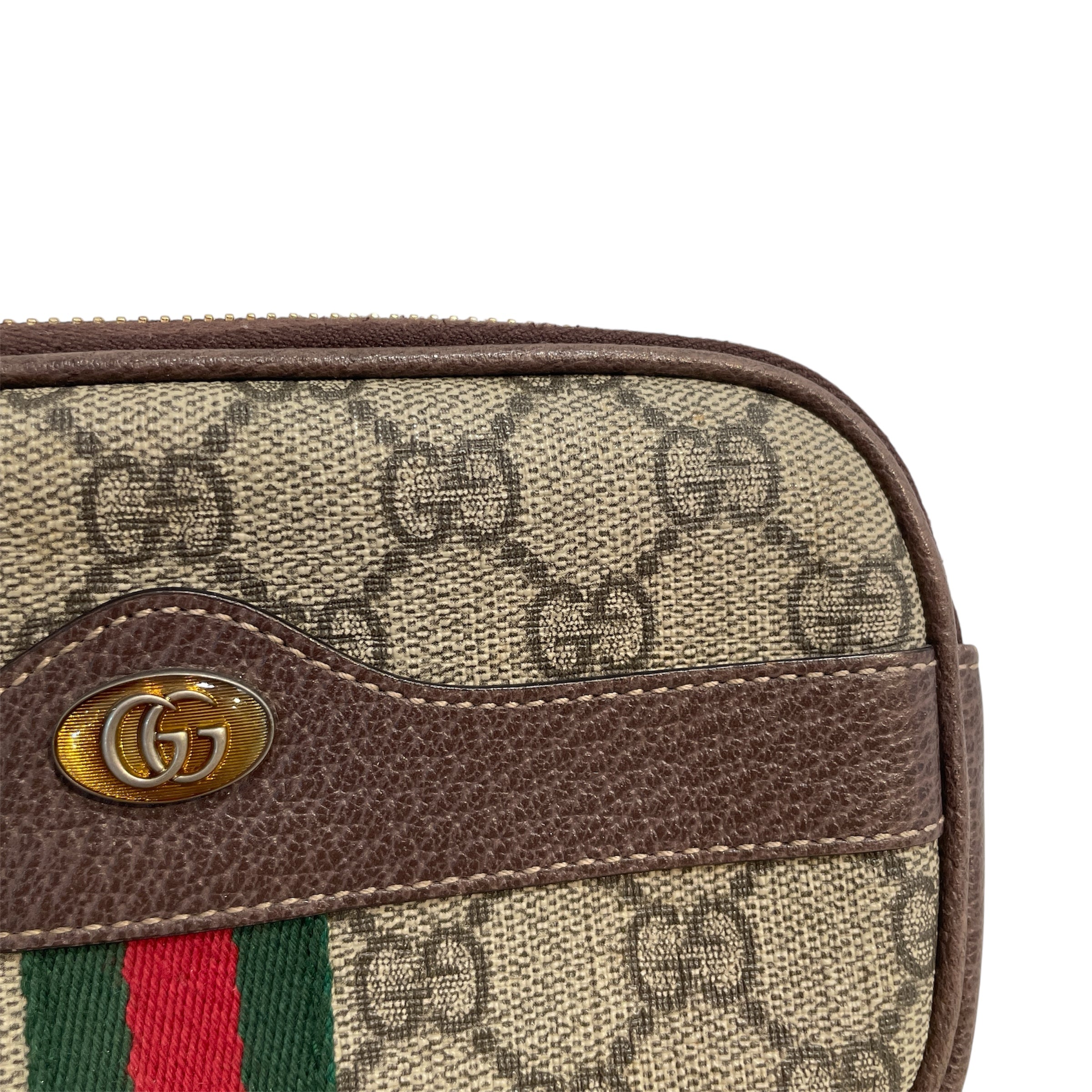 GUCCI/Accessories/Monogram/Leather/BRW/Ophidia GG Canvas view 5