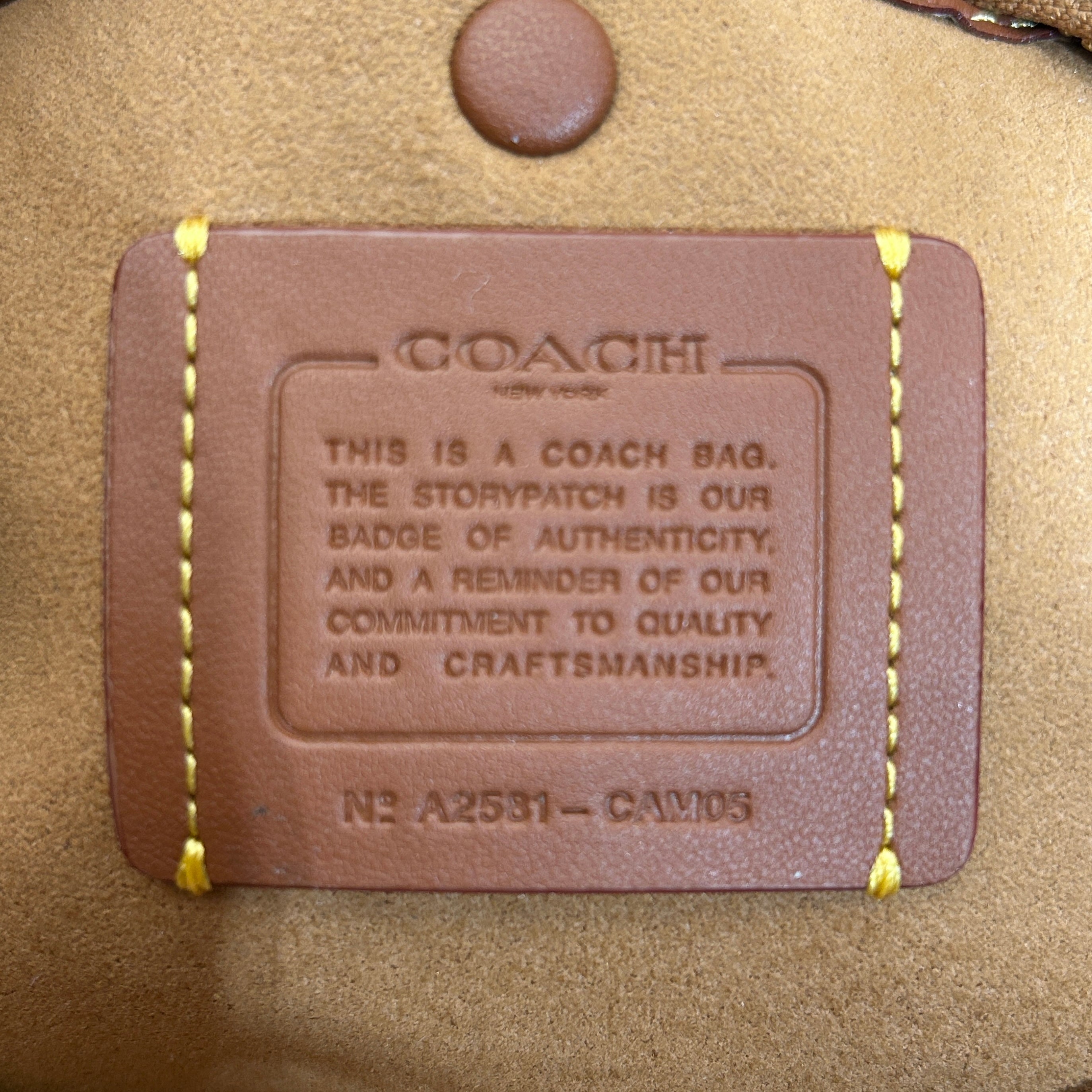 COACH/Bag/Leather/BEG/caryall 28 view 5
