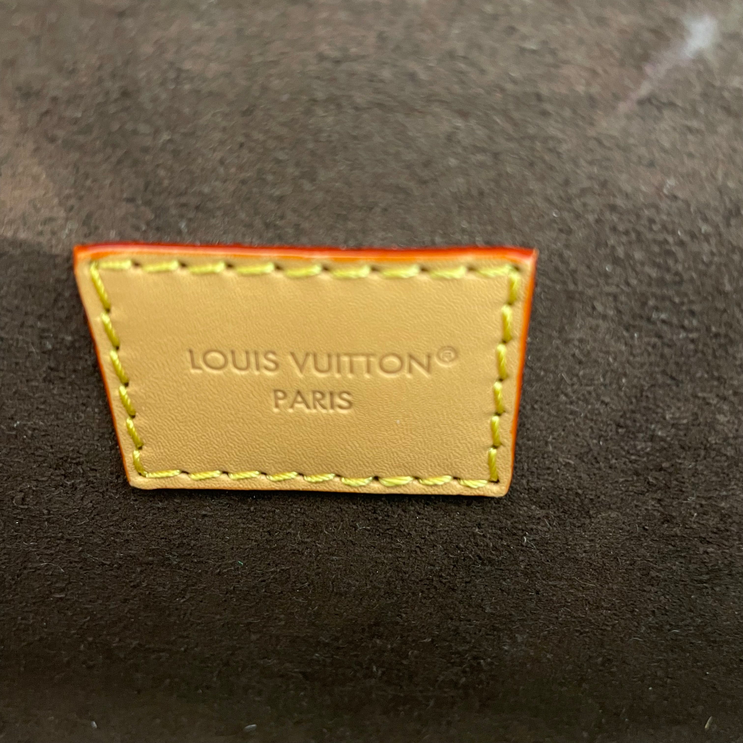 LOUIS VUITTON/Cross Body Bag/Monogram/Leather/BRW/NO CODE| SUEDE INTERIOR| MINI view 5
