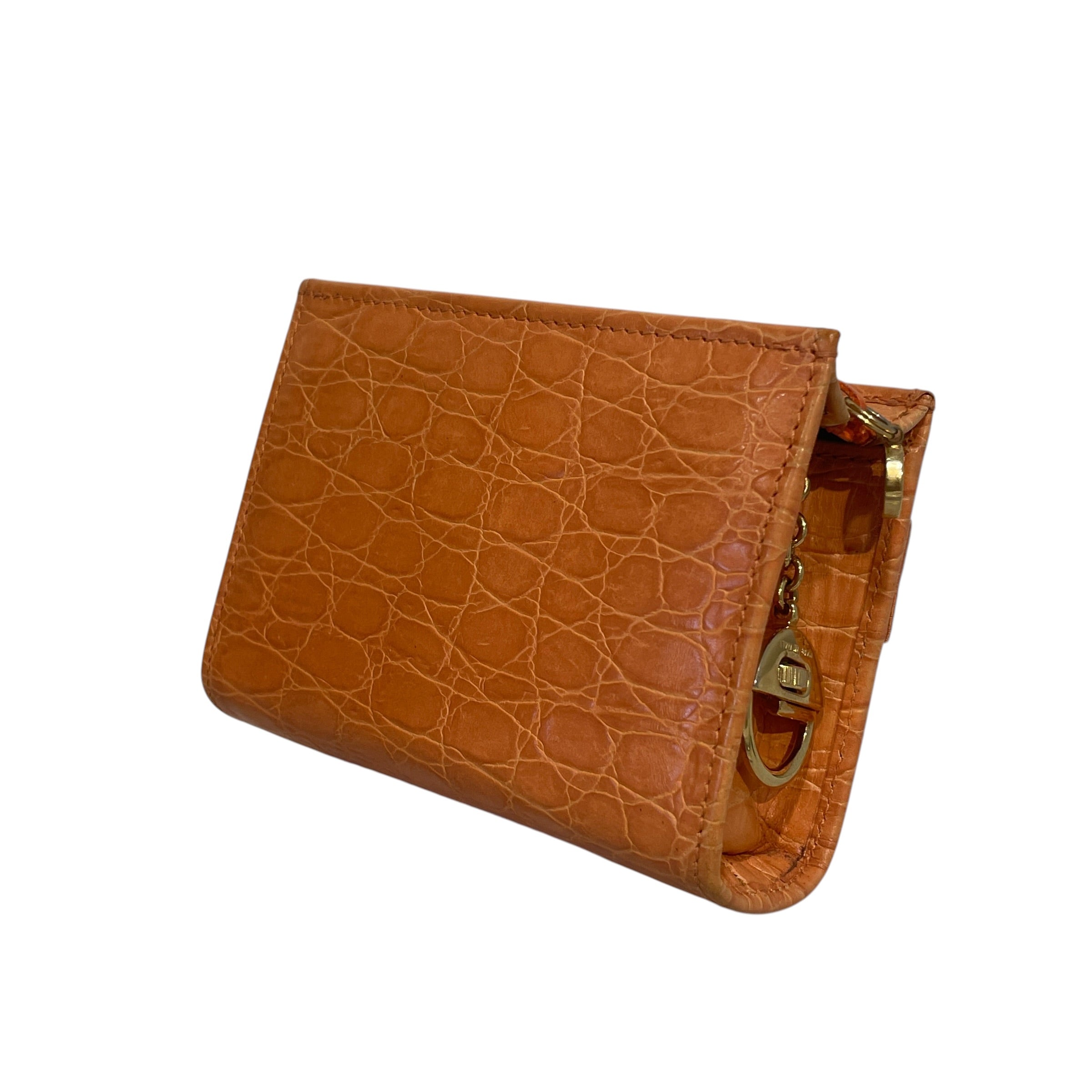 Salvatore Ferragamo/Accessories/Leather/ORN/Croc / Gold Lock view 2