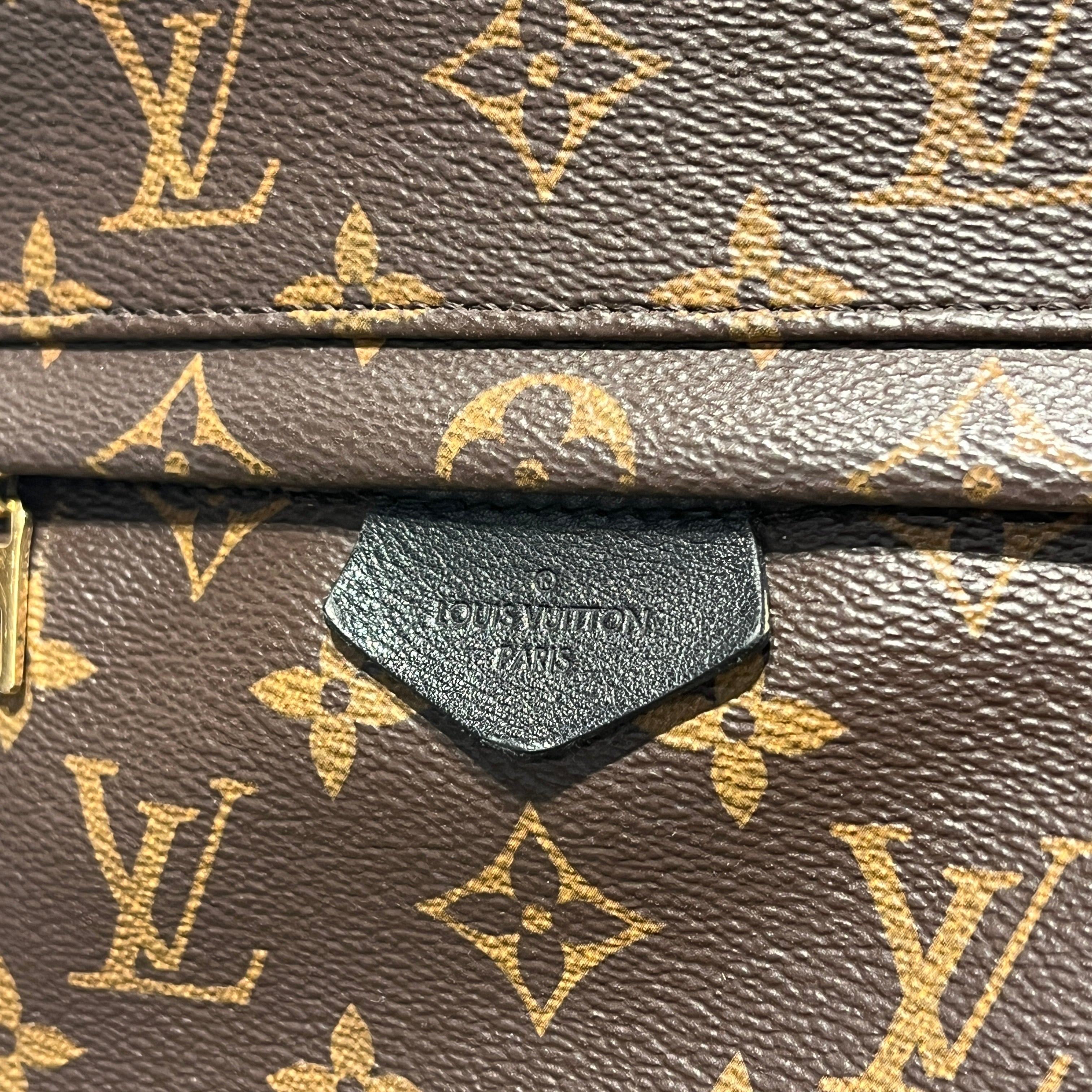 LOUIS VUITTON/Backpack/Monogram/Leather/BRW/palm springs PM backpack view 10