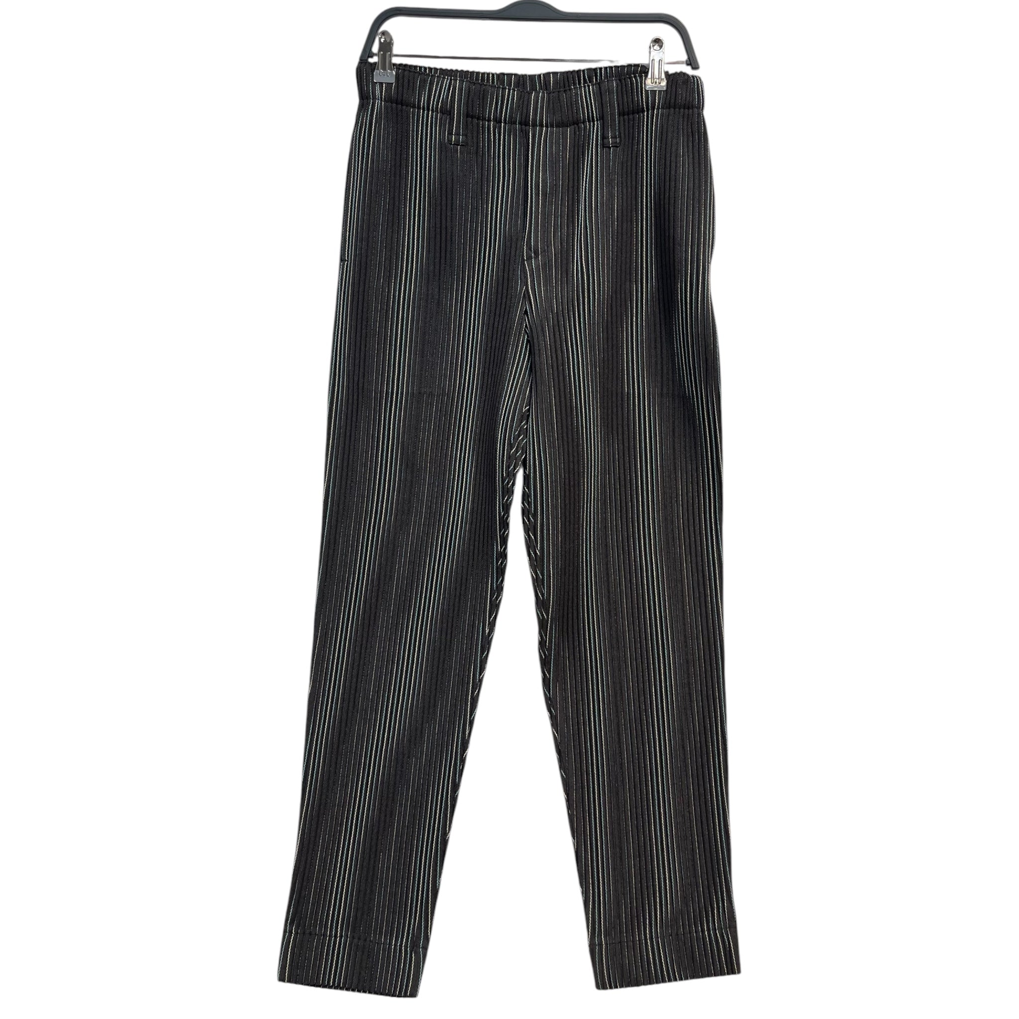 ISSEY MIYAKE/Pants/2/Polyester/BRW/pleated baby blue cream stripe view 1