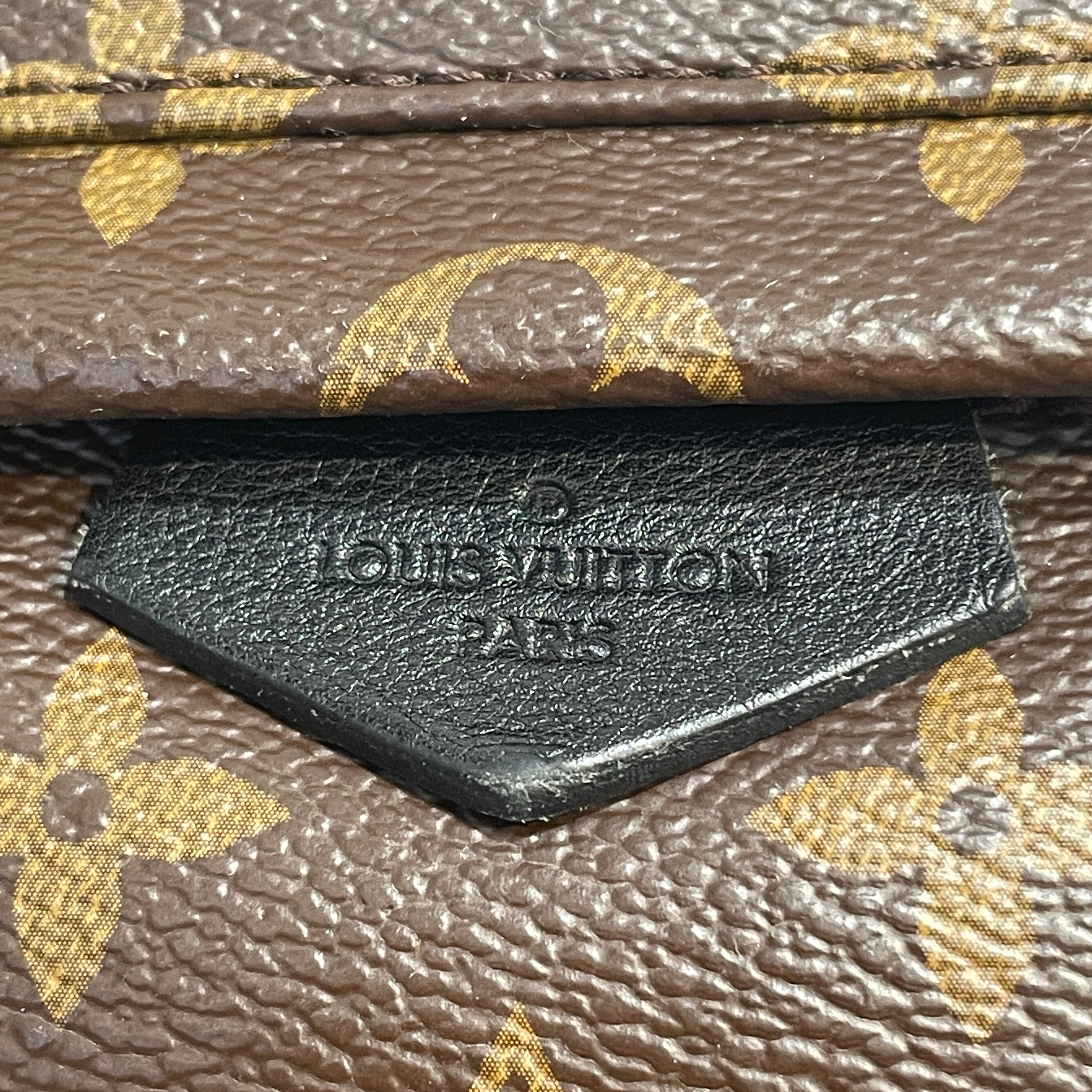 LOUIS VUITTON/Backpack/Monogram/Leather/BRW/Monogram Palm Springs view 5