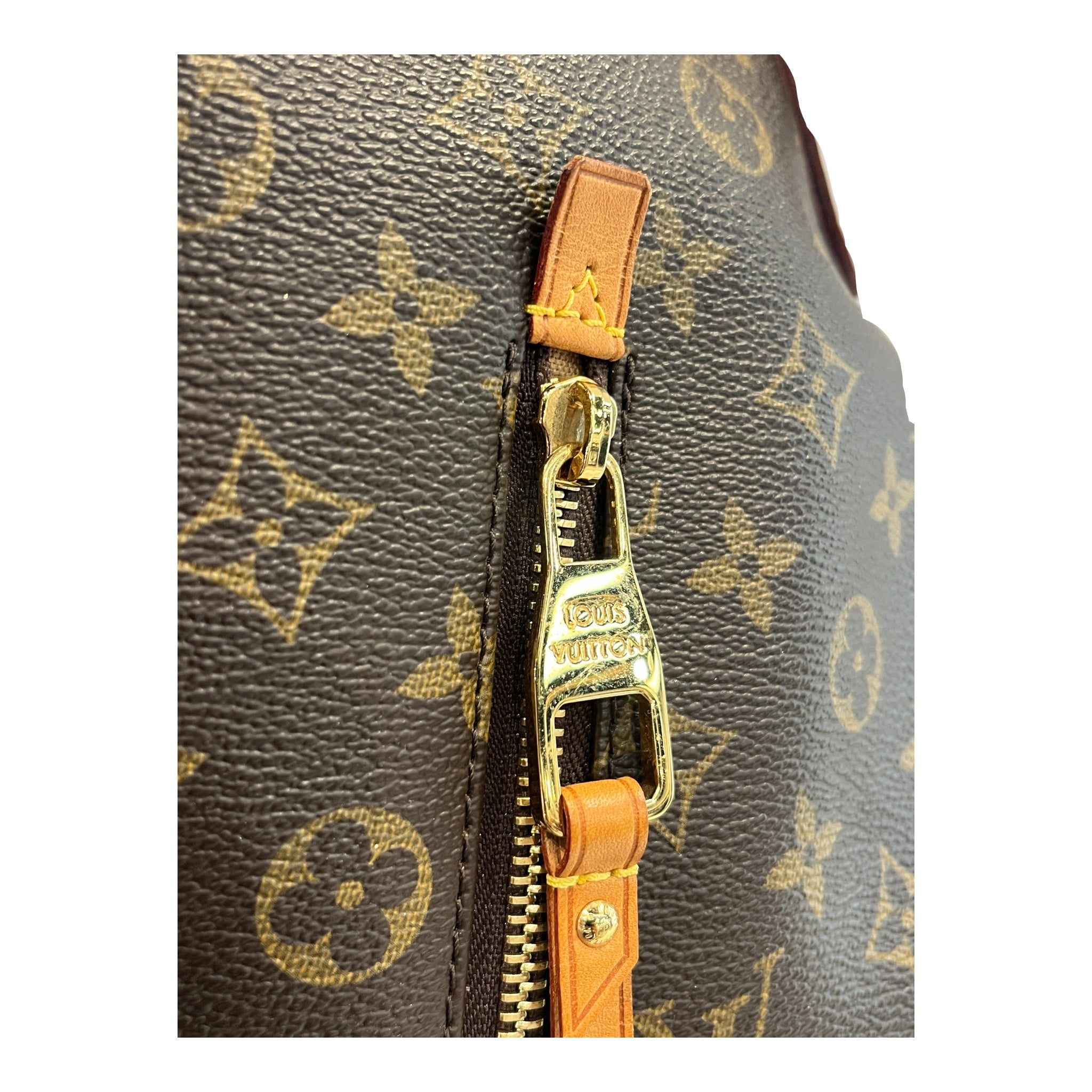 LOUIS VUITTON/Hand Bag/Monogram/BRW/DELIGHTFUL GM SHOULDER view 5