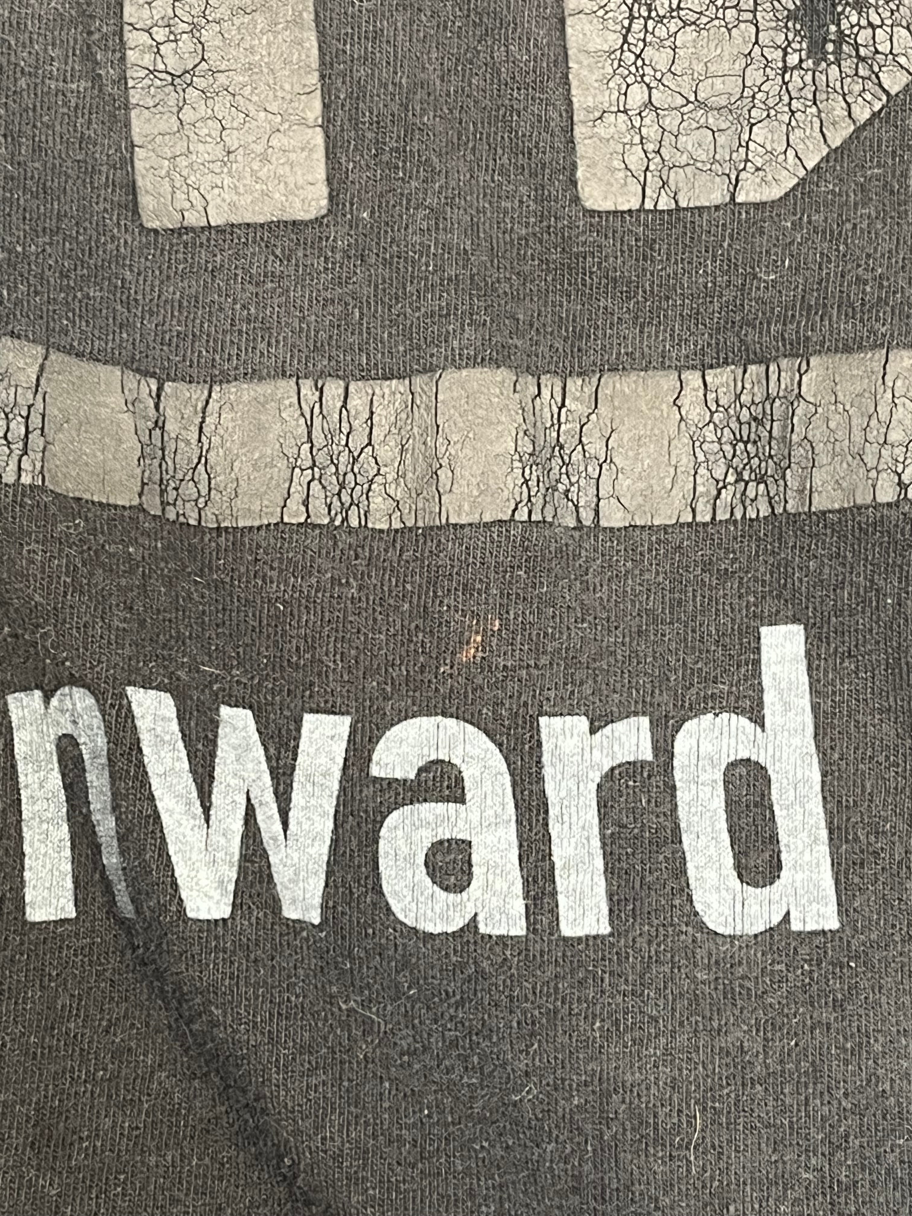 Vintage/FRUIT OF THE LOOM/LS T-Shirt/XL/Cotton/BLK/1994 NINE INCH NAILS DOWNWARd view 5
