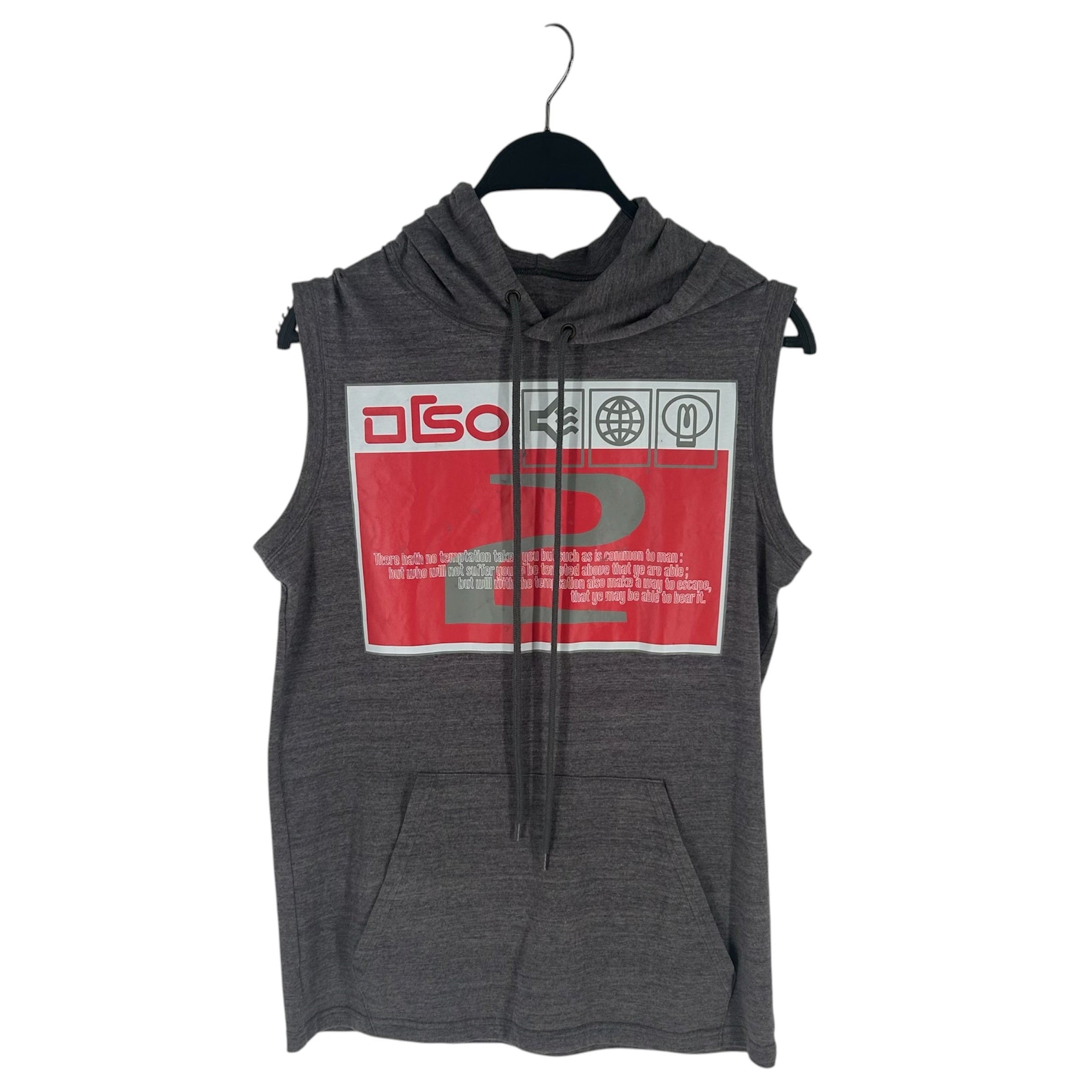 beauty:beast/Hoodie/2/Graphic/Cotton/GRY/ORSO | TEMPTED ABOVE view 1