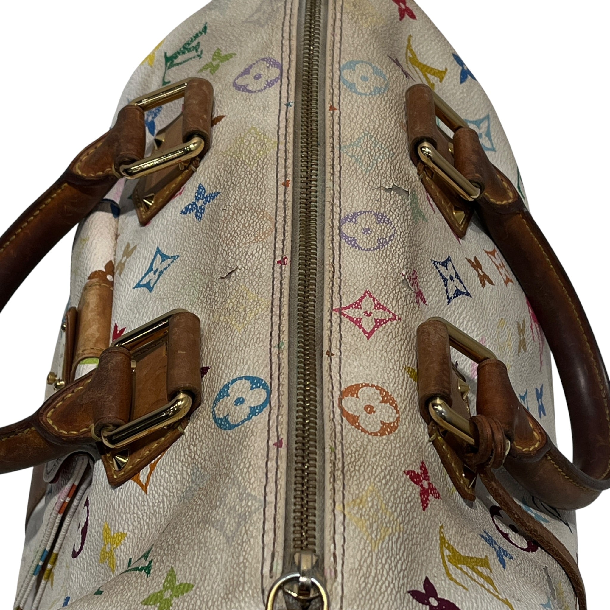LOUIS VUITTON/Hand Bag/Monogram/MLT/TAKASHI MURAKAMI view 8
