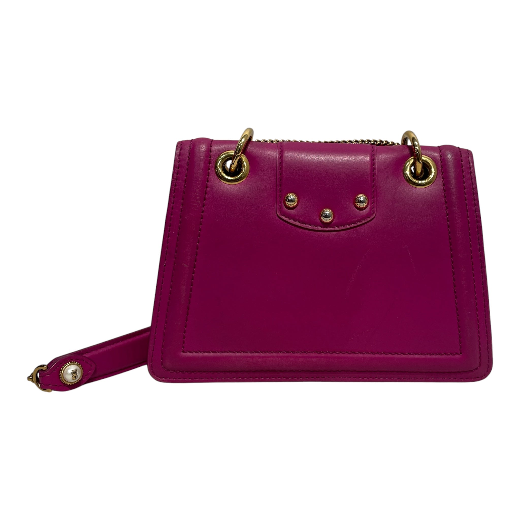 DOLCE&GABBANA/Cross Body Bag/Leather/PPL/gold buckle view 2