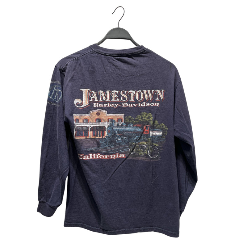 HARLEY DAVIDSON/LS T-Shirt/M/Cotton/NVY/