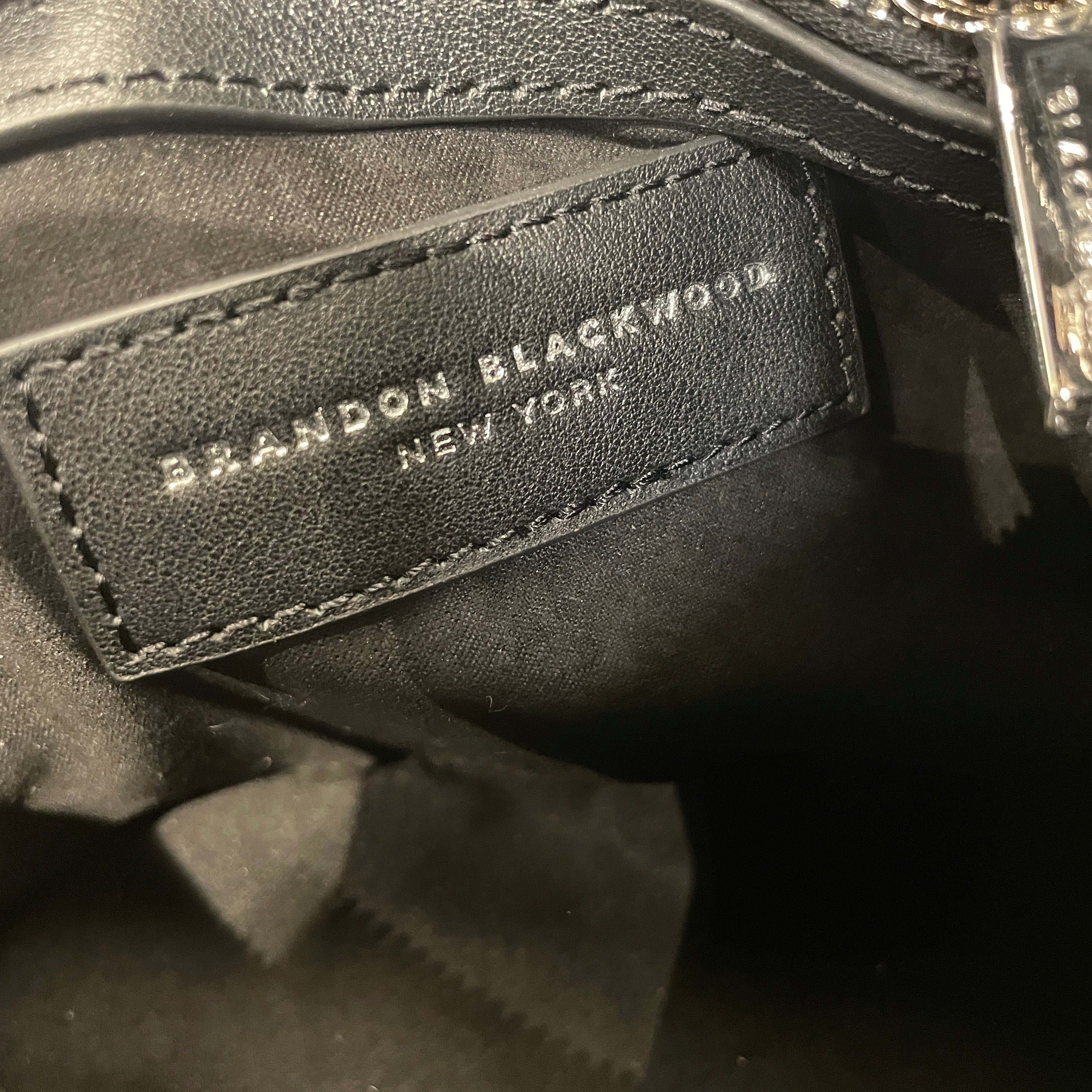 BRANDON BLACKWOOD/Hand Bag/Acrylic/BLK/ view 4