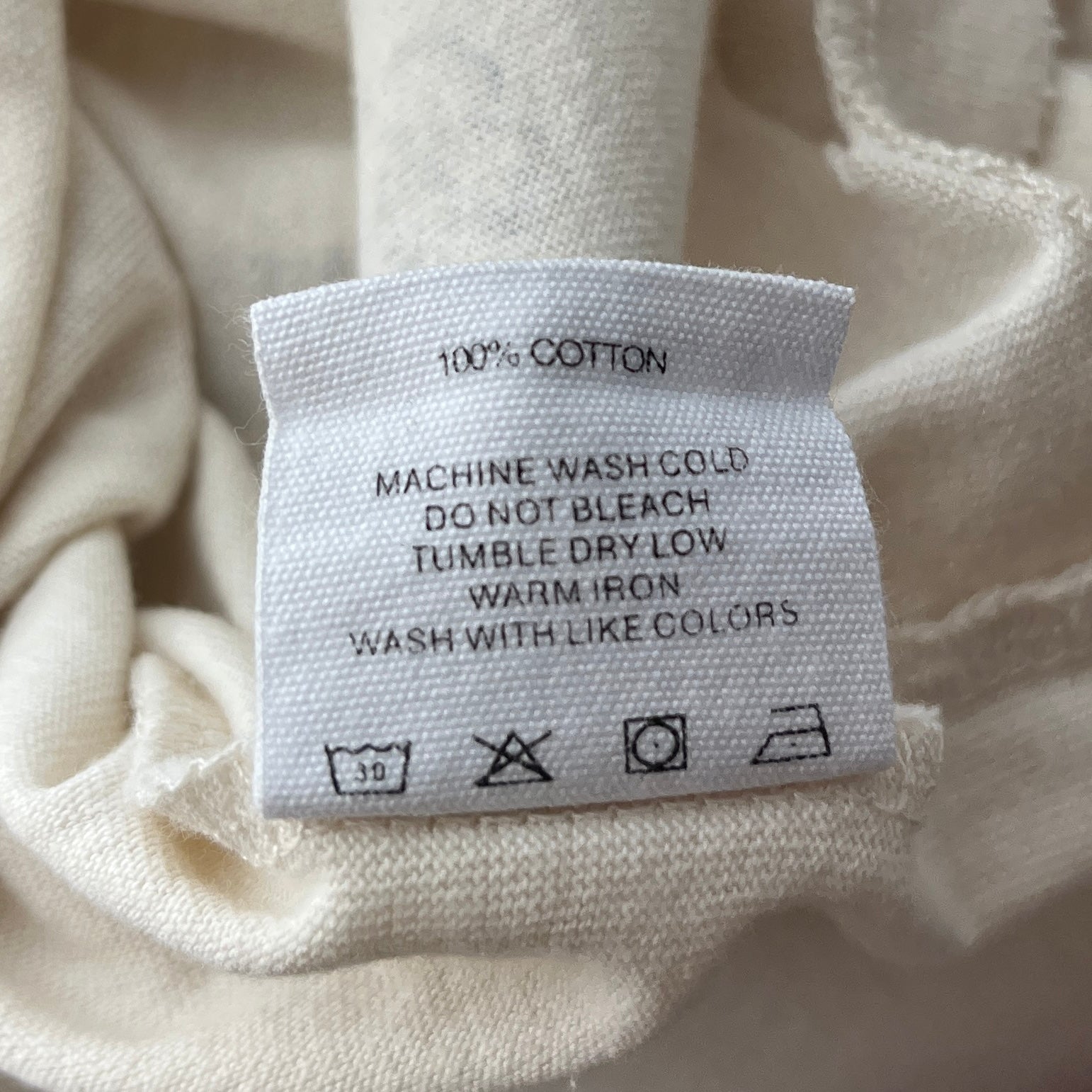 Paly(PALY HOLLYWOOD)/T-Shirt/L/Cotton/CRM/Graphic/CELERY JUICE view 5