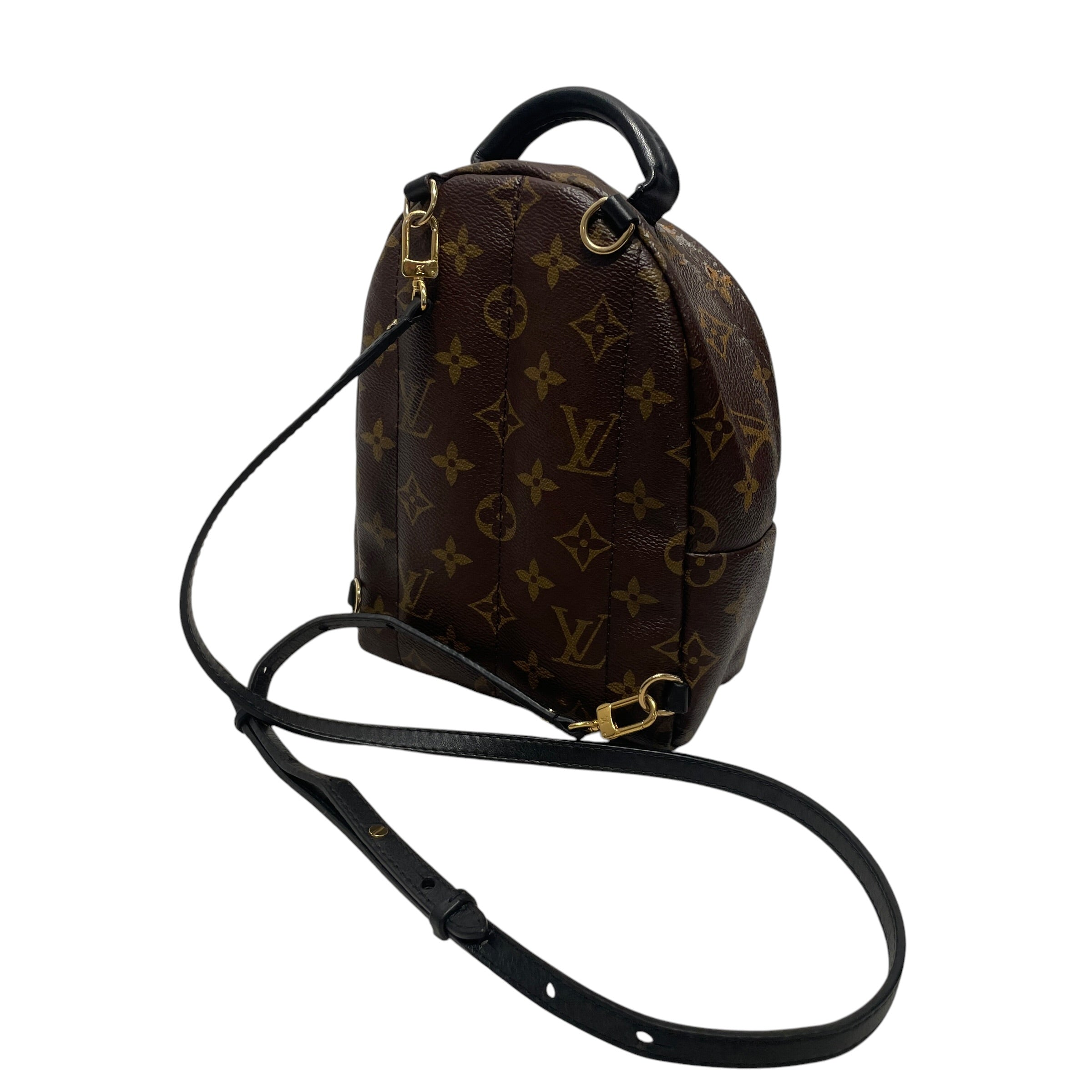 LOUIS VUITTON/Backpack/Monogram/Leather/BRW/PALM SPRINGS MINI view 2