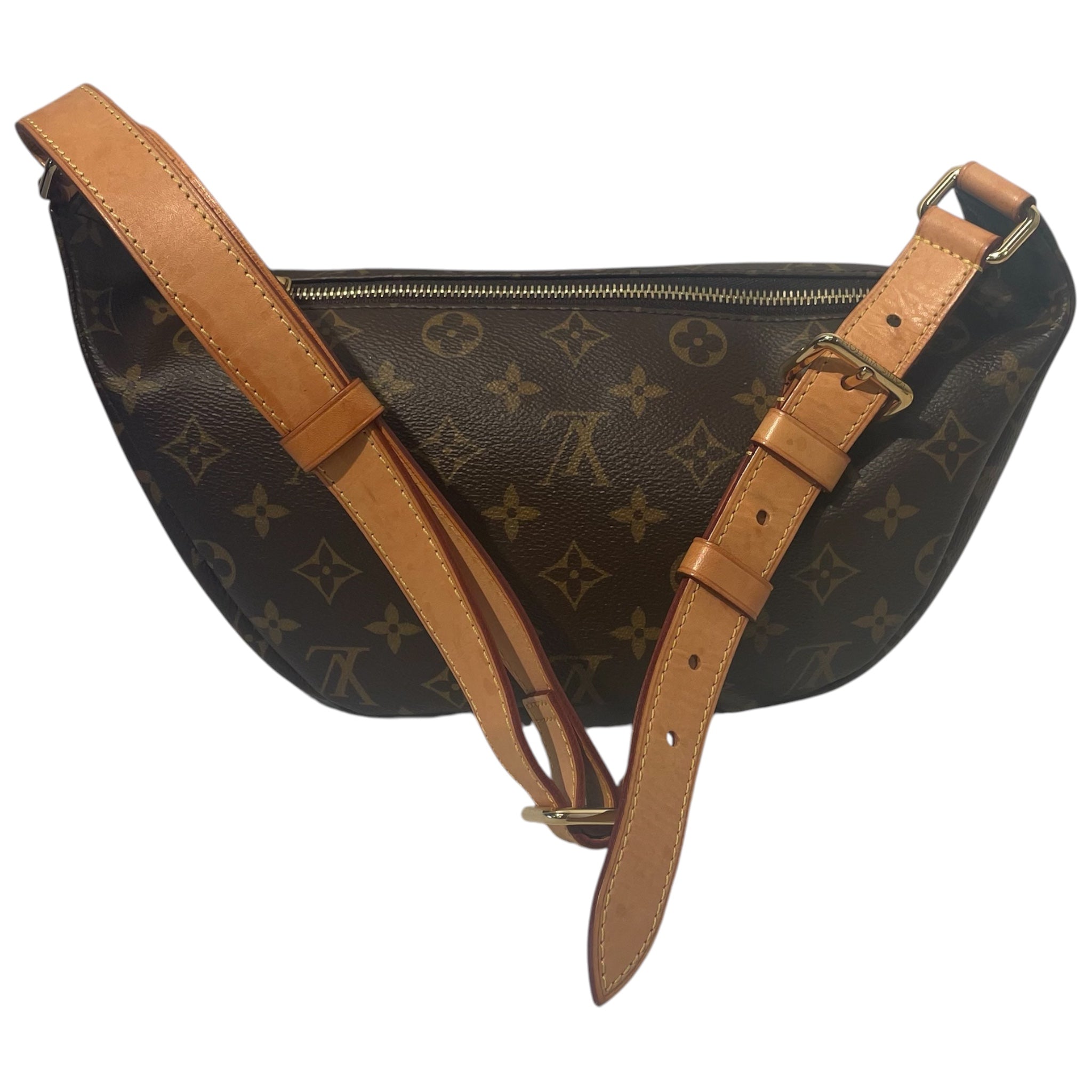 LOUIS VUITTON/Fanny Pack/Monogram/Leather/BRW/bum bag view 2