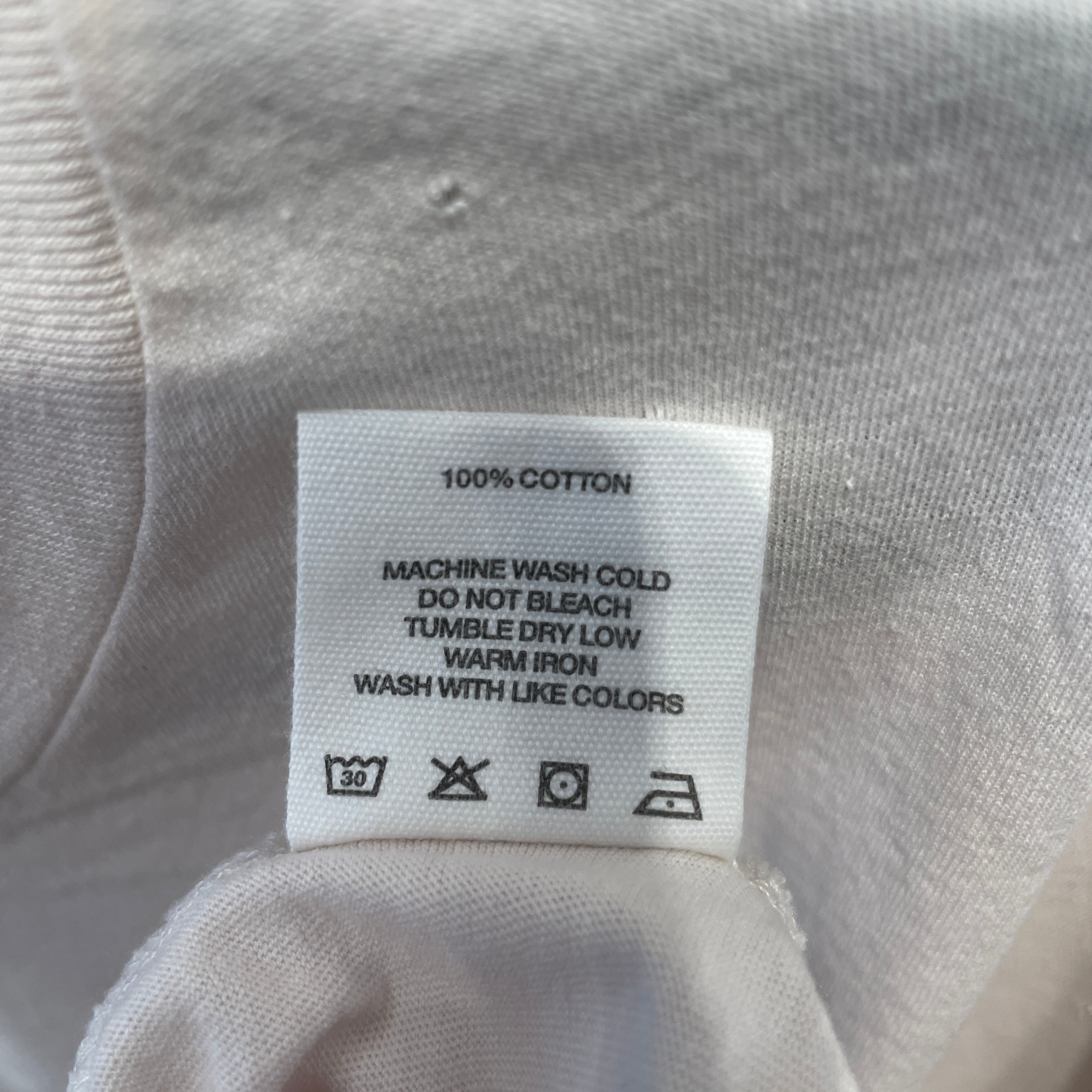 Paly(PALY HOLLYWOOD)/T-Shirt/M/Cotton/CRM/Graphic/CALIFORNIA view 3