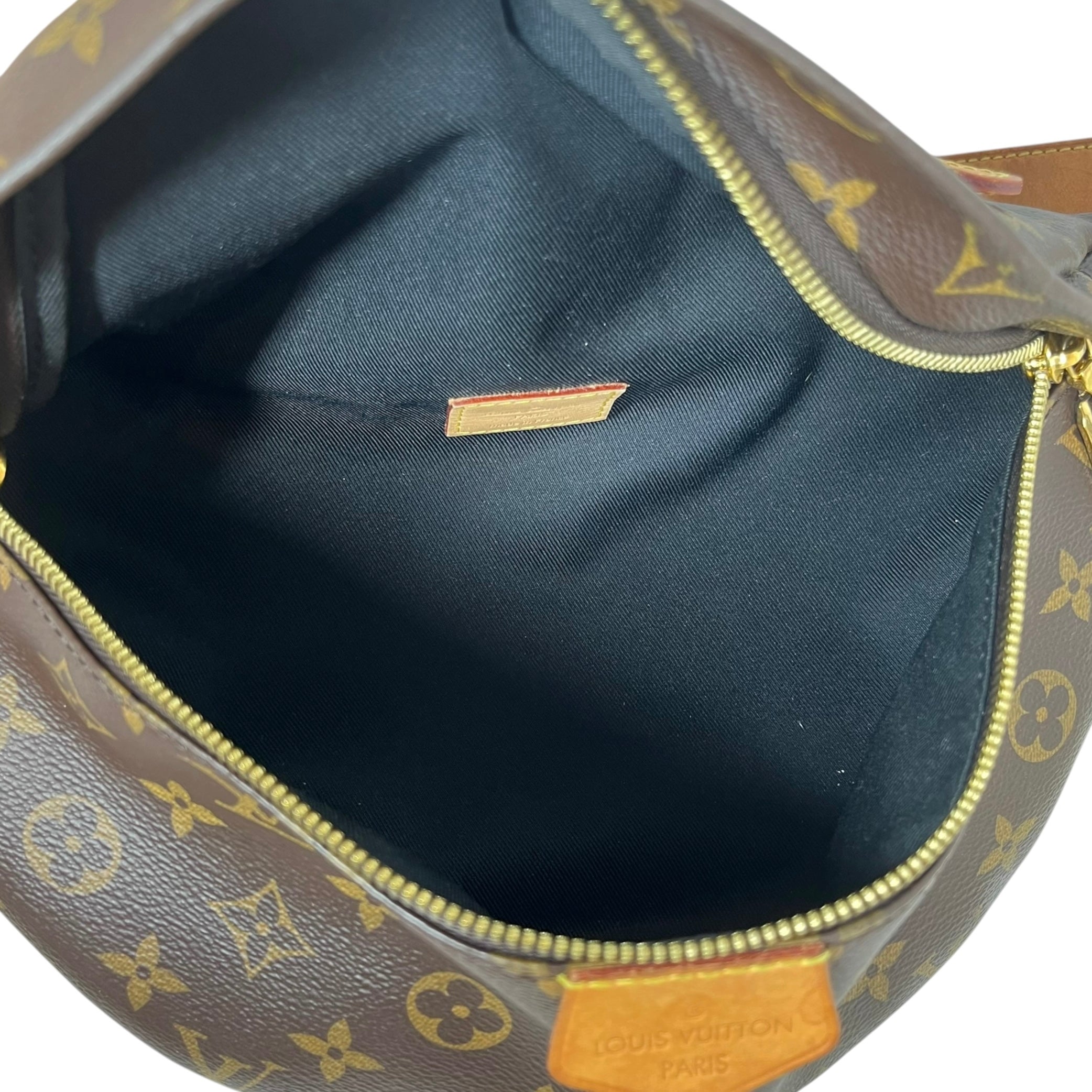 LOUIS VUITTON/Fanny Pack/Monogram/Leather/BRW/BUM BAG view 4