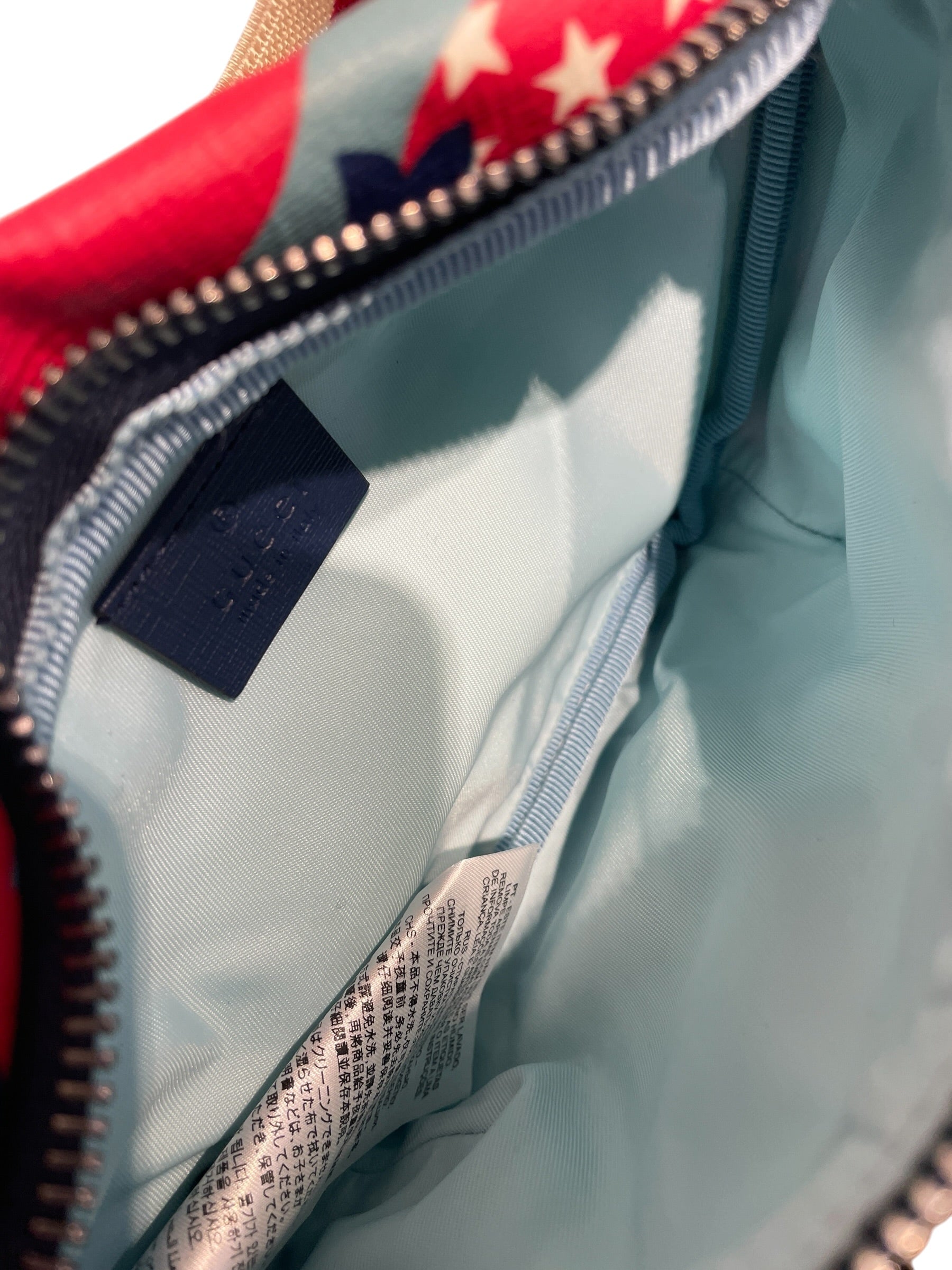 GUCCI/Fanny Pack/All Over Print/Nylon/MLT/STRAWBERRY view 4