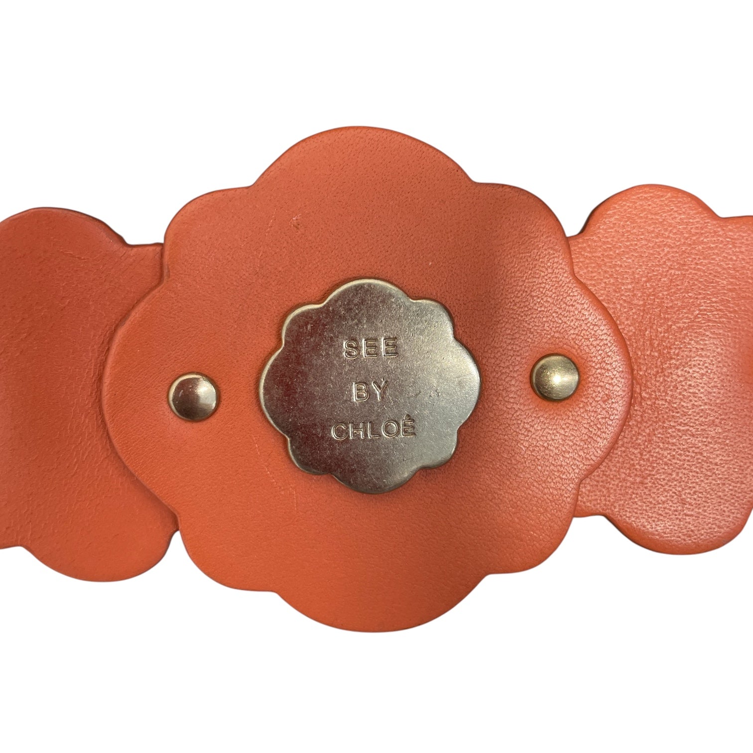 SEE BY CHLOE/Hand Bag/Leather/ORN/CORAL W/ FLORAL STRAP/HARDWARE view 9