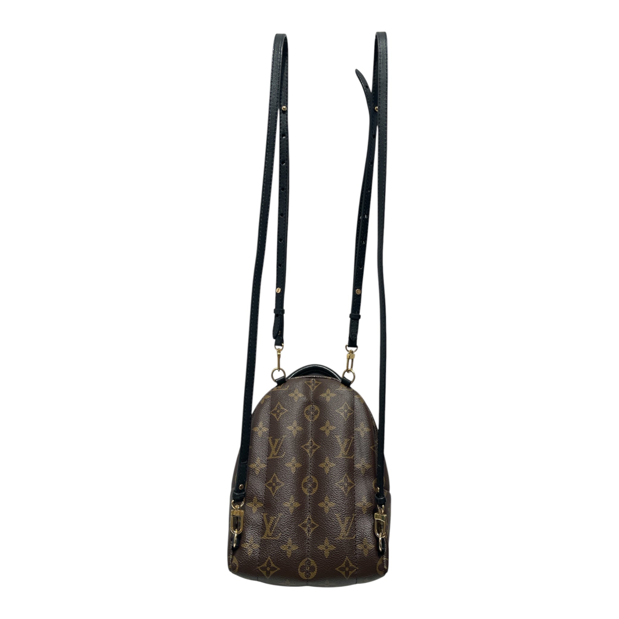LOUIS VUITTON/Backpack/Monogram/Leather/BRW/Palm Spring mini view 2