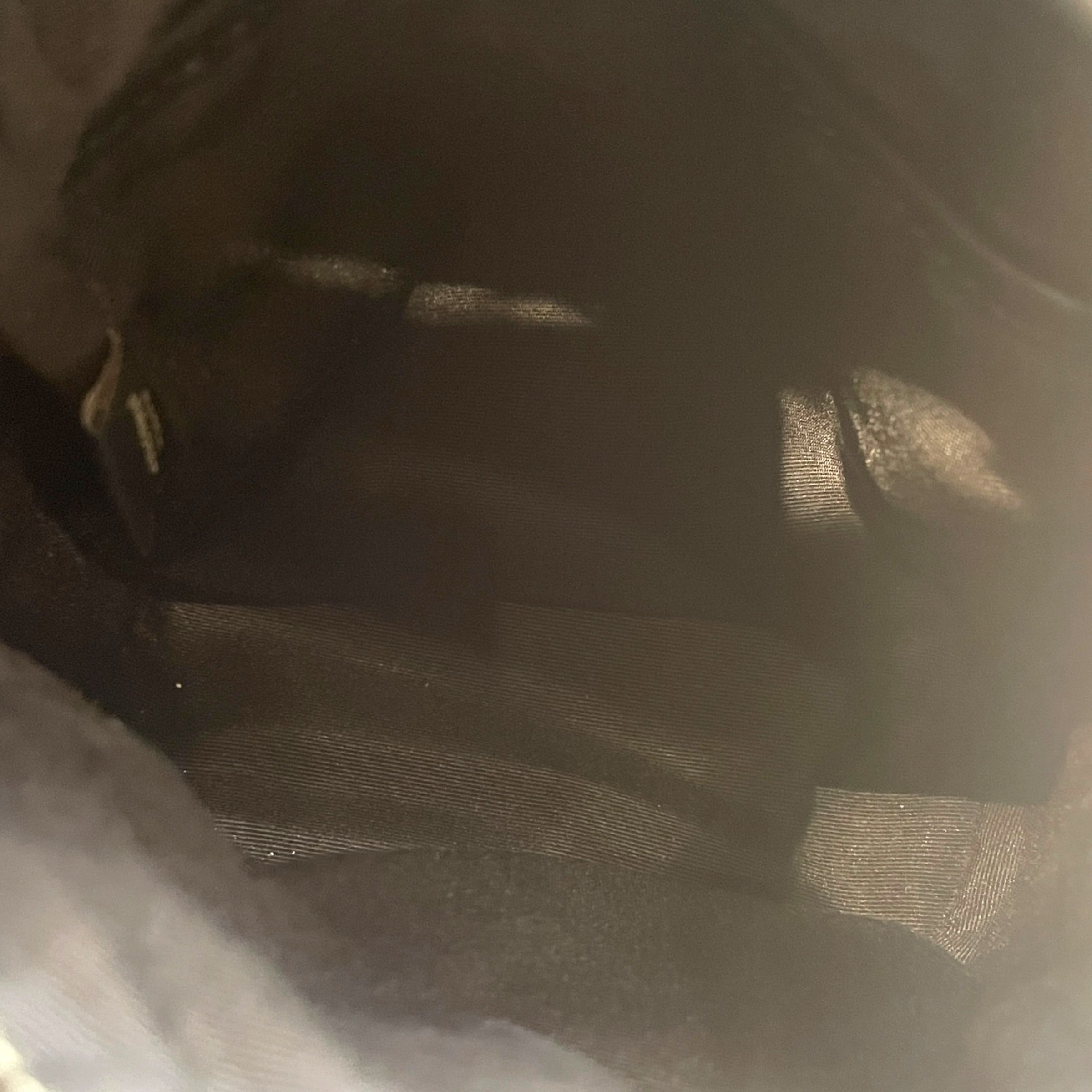 COACH/Backpack/Leather/BLK/Small west dreamy leaves view 5