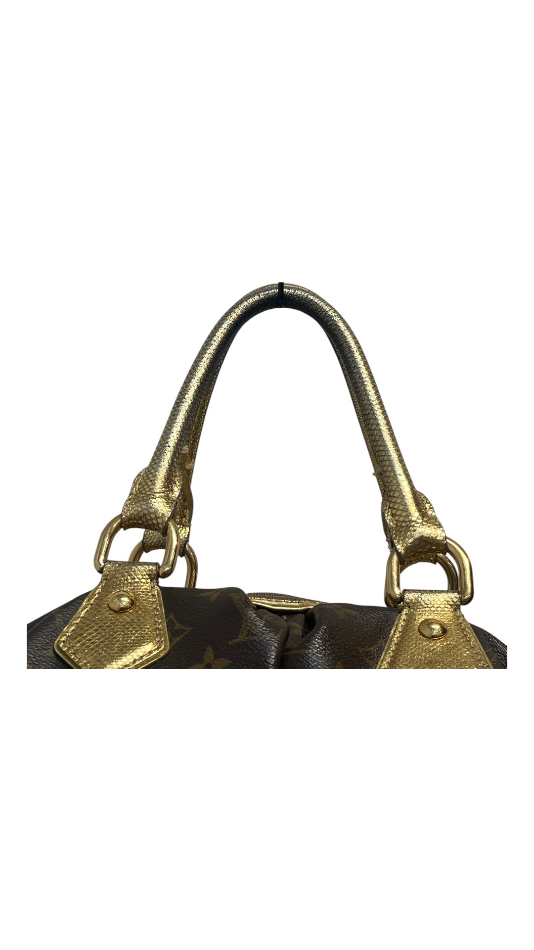 LOUIS VUITTON/Hand Bag/Monogram/BRW/gold accent with leopord bottm view 6