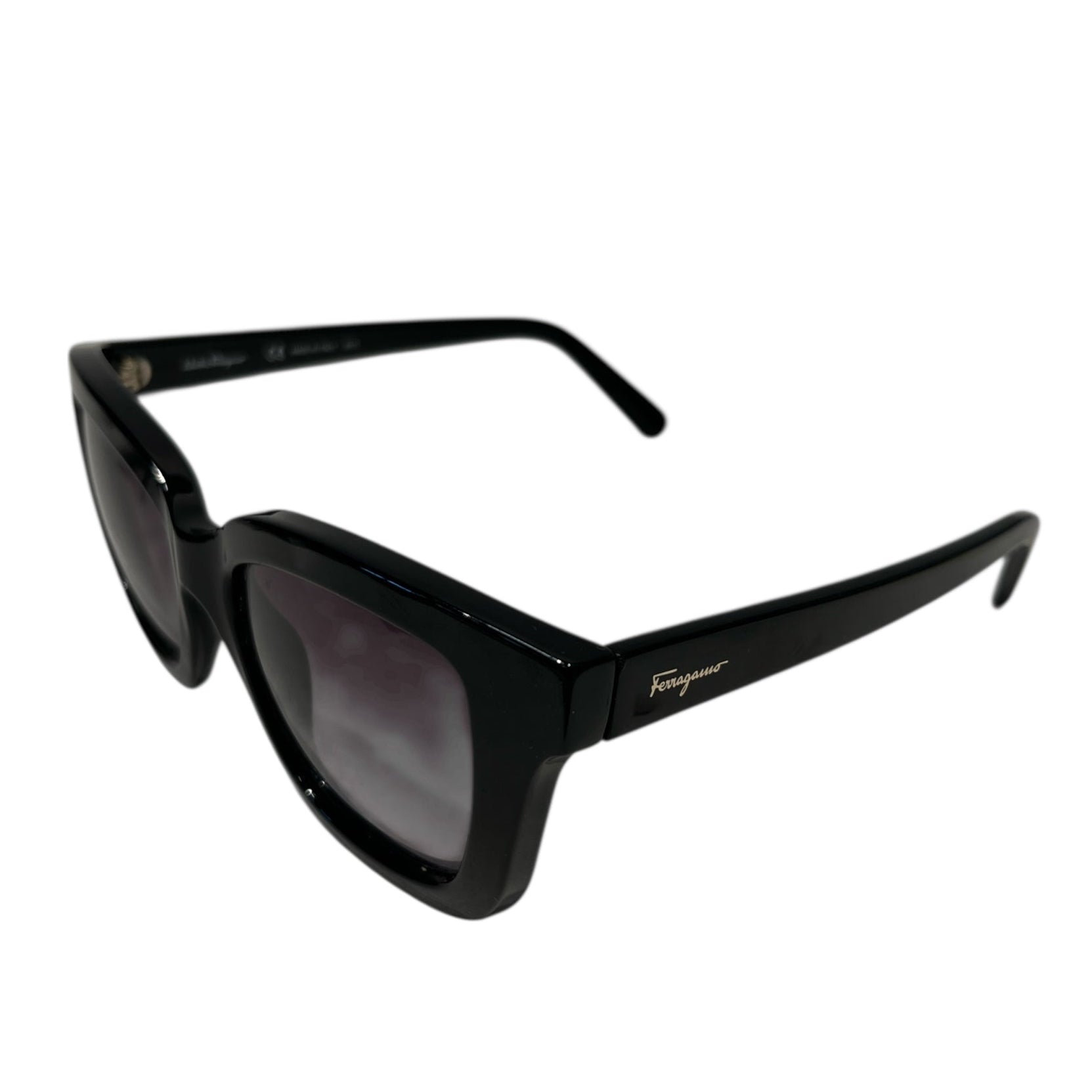 Salvatore Ferragamo/Sunglasses/Plastic/BLK/SF955S view 2