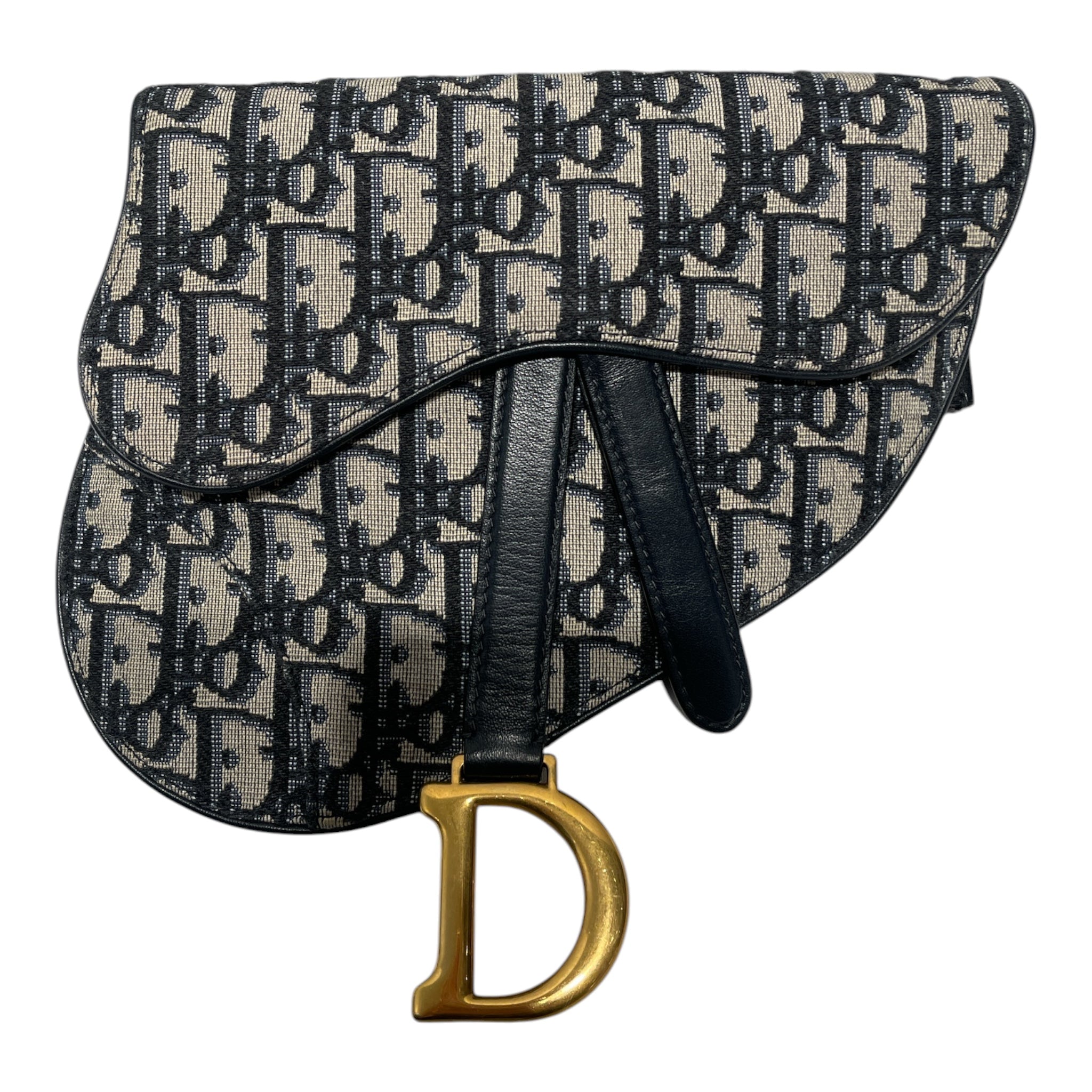Christian Dior/Fanny Pack/Belt Bag Oblique Saddle view 1