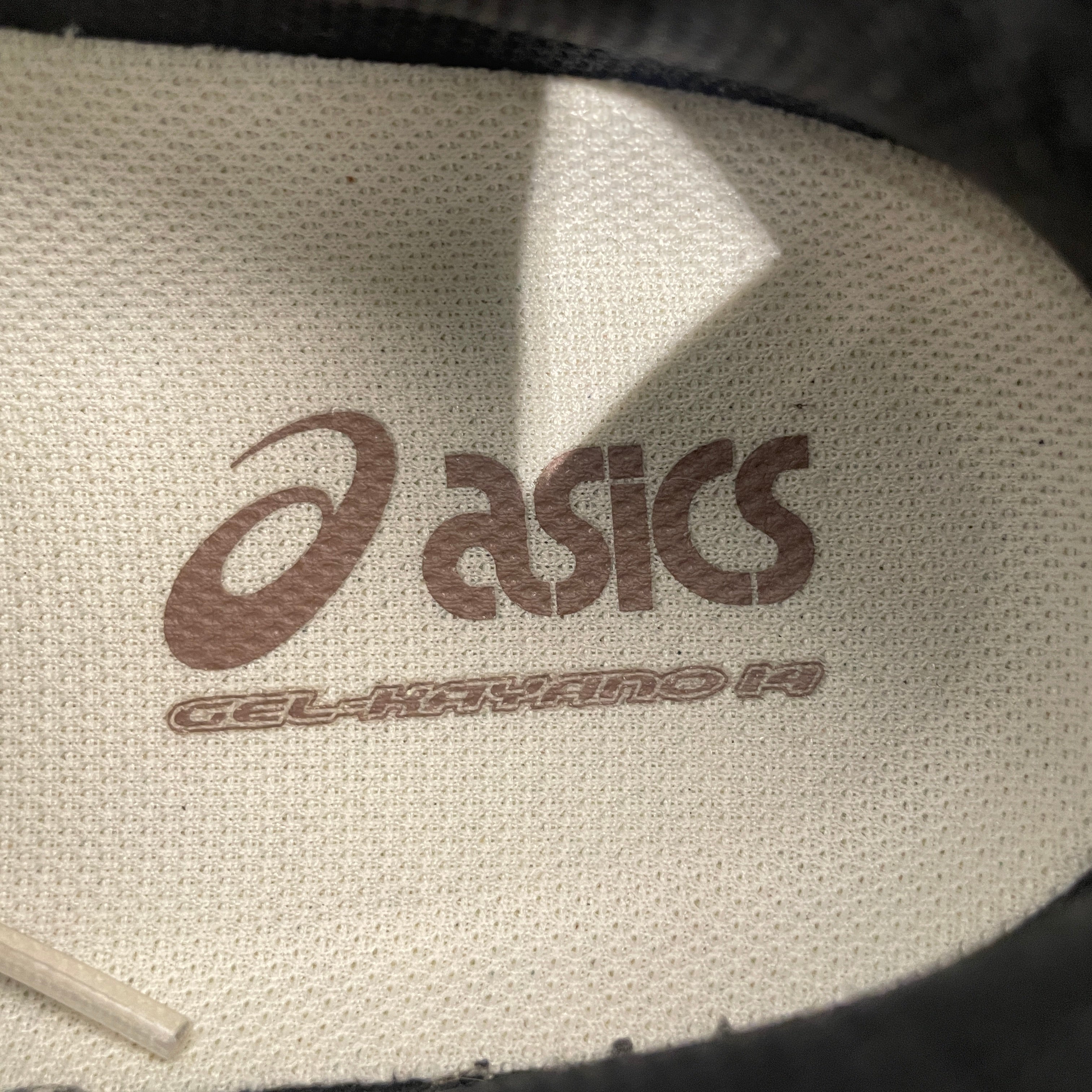 ASICS/Low-Sneakers/US 12/Acrylic/CRM/ view 3
