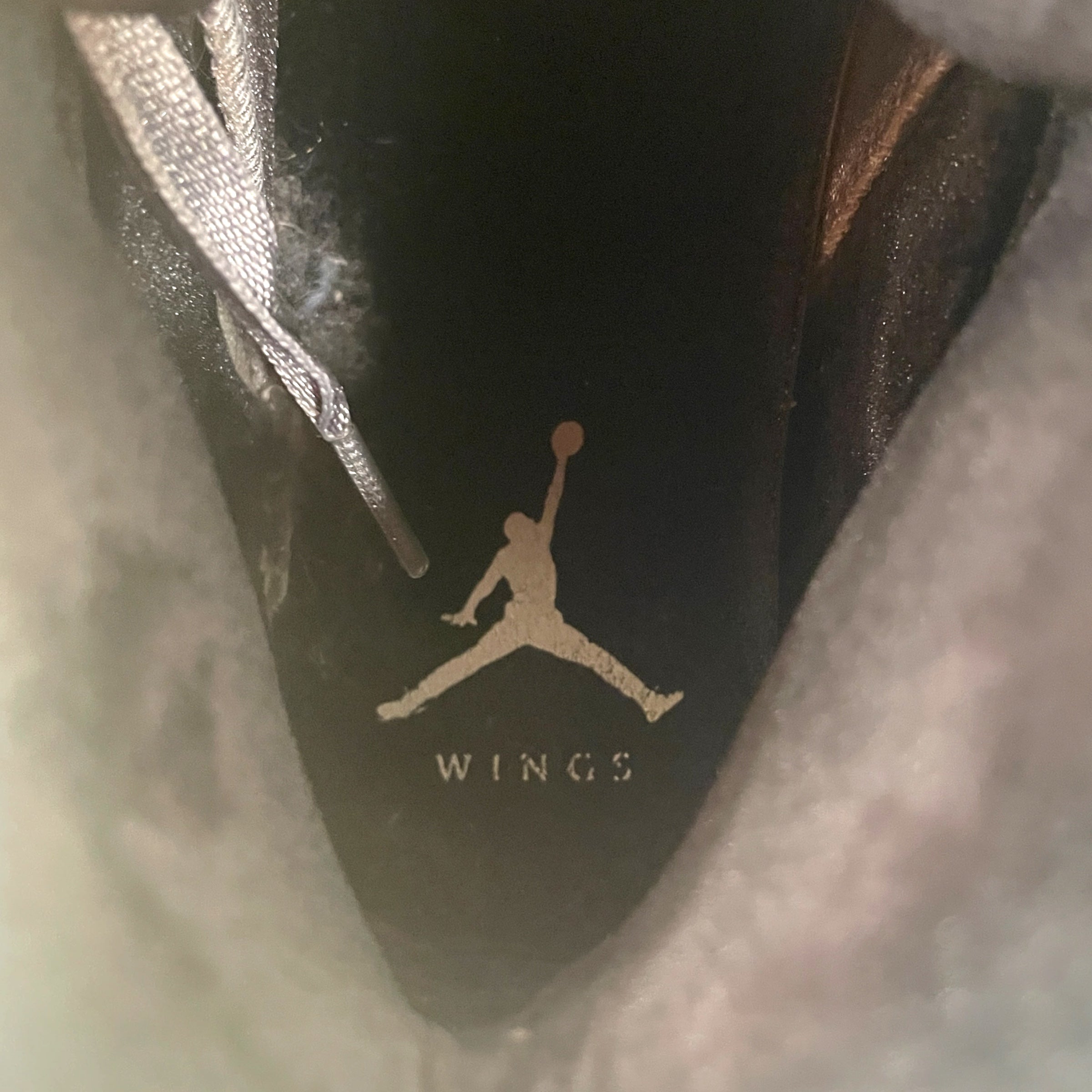 NIKE/Hi-Sneakers/US 8.5/SLV/Air Jordan 5 Retro "Wings" view 3