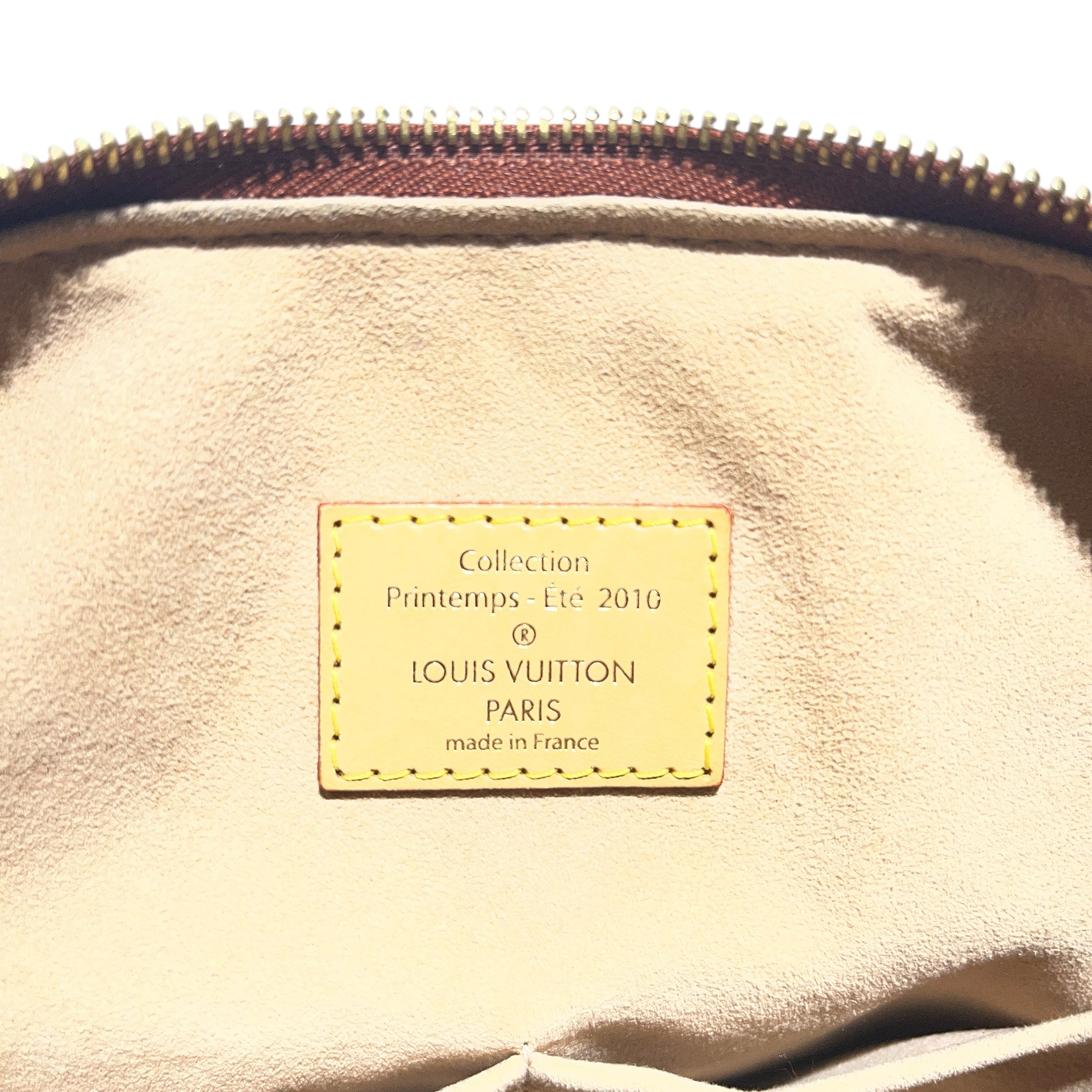 LOUIS VUITTON/Hand Bag/Stripe/Leather/BRD/EDEN SPEEDY BANDOULIERE view 4