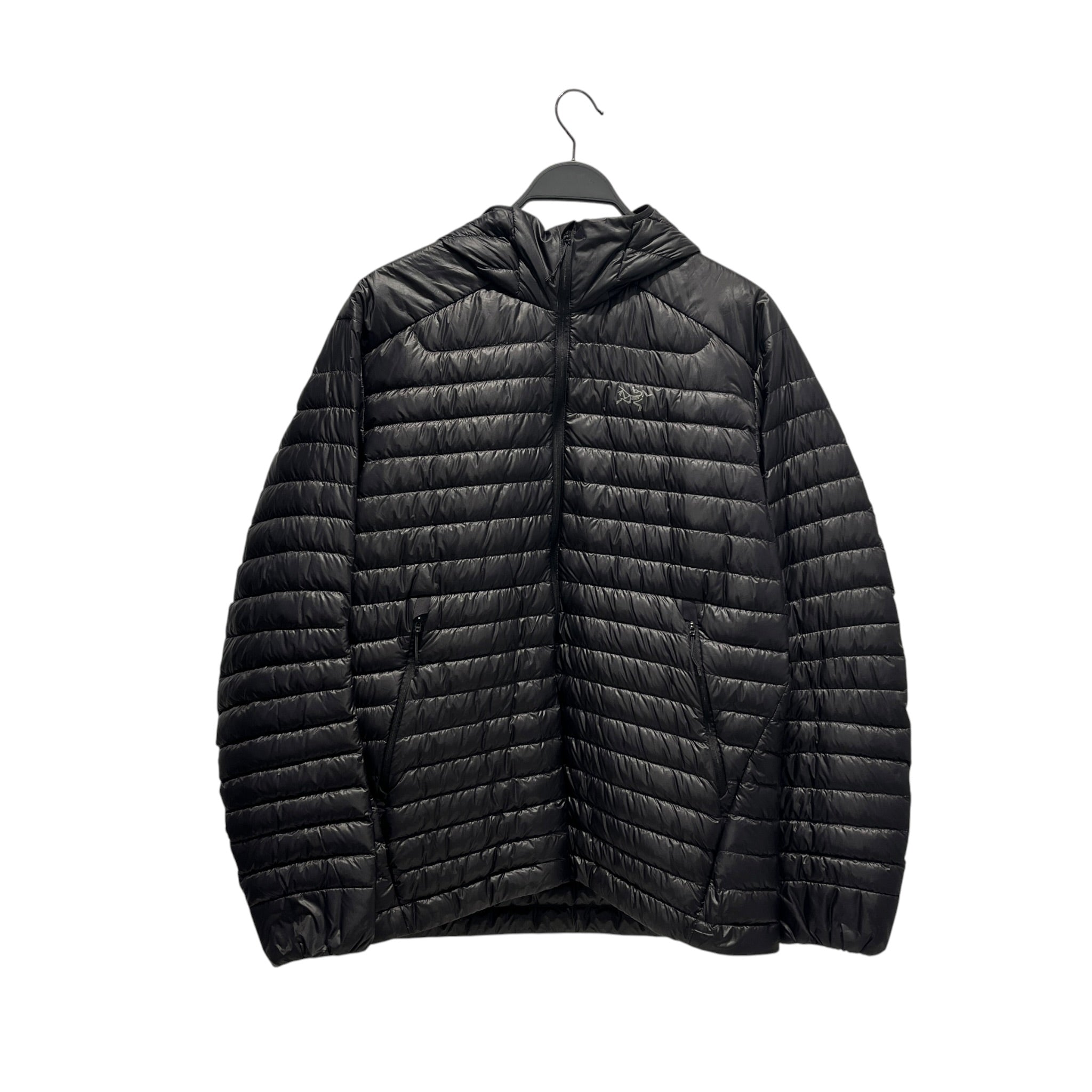ARC'TERYX/Puffer Jkt/L/Nylon/BLK/Cerium Hoody view 1