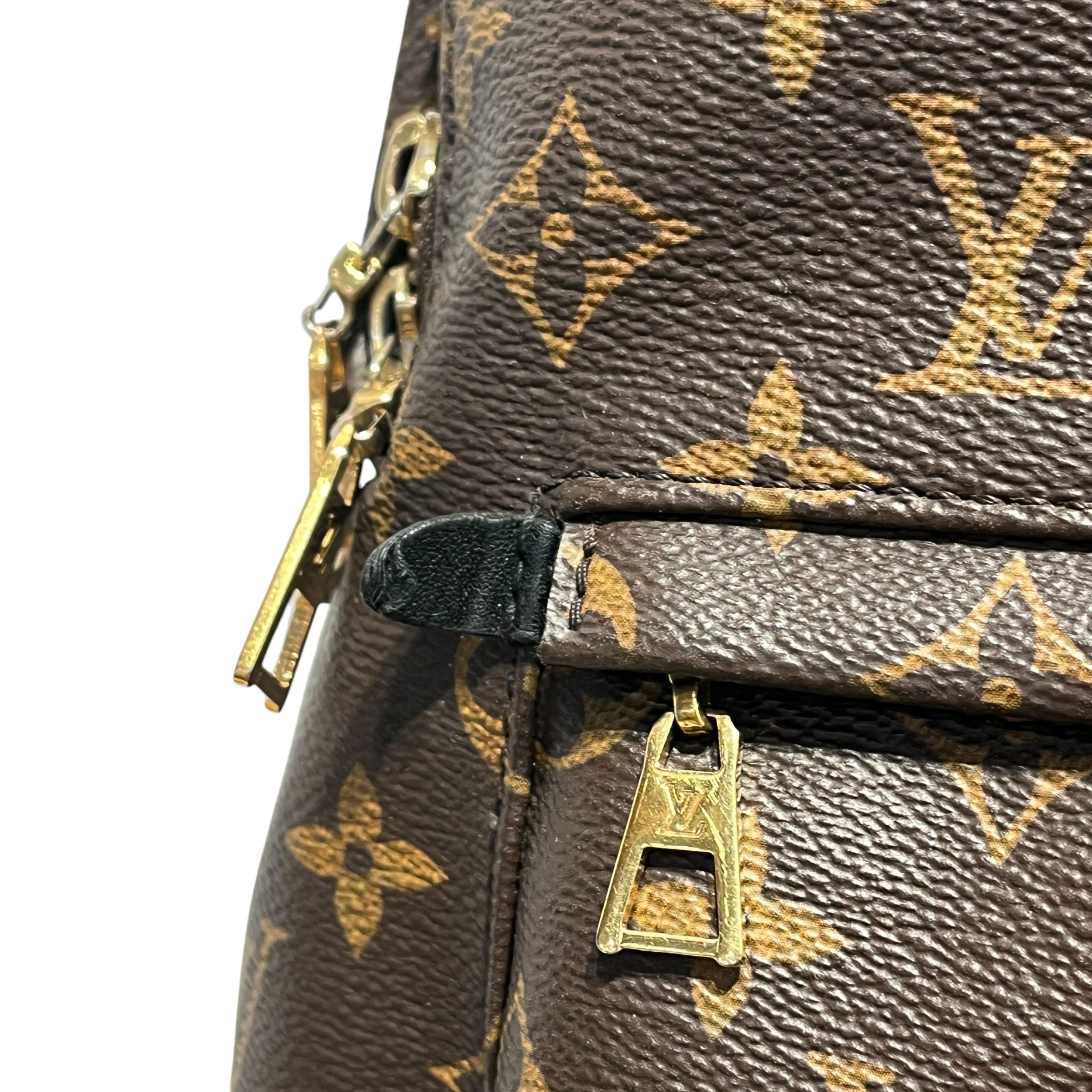 LOUIS VUITTON/Backpack/Monogram/Leather/BRW/palm springs PM backpack view 6