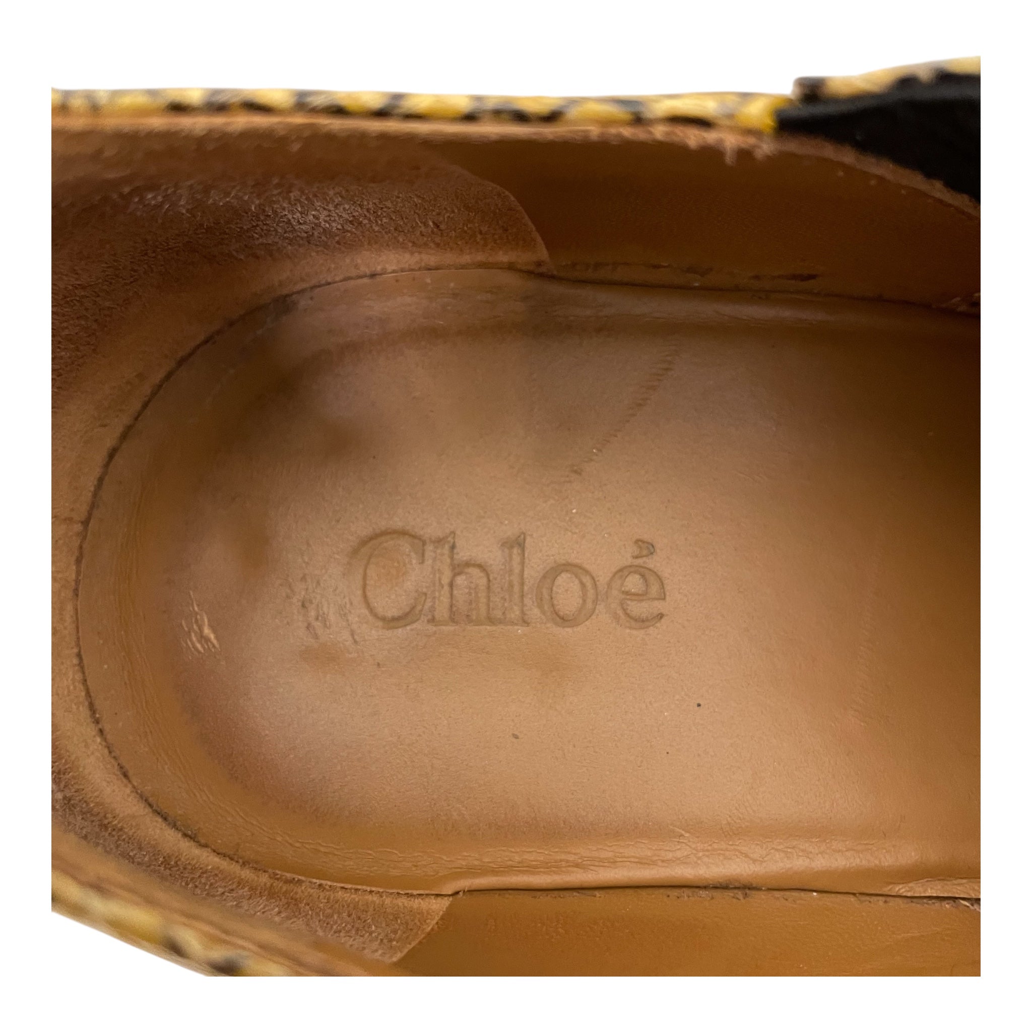 Chloe/Dress Shoes/EU 39/Animal Pattern/MLT/snake print view 3
